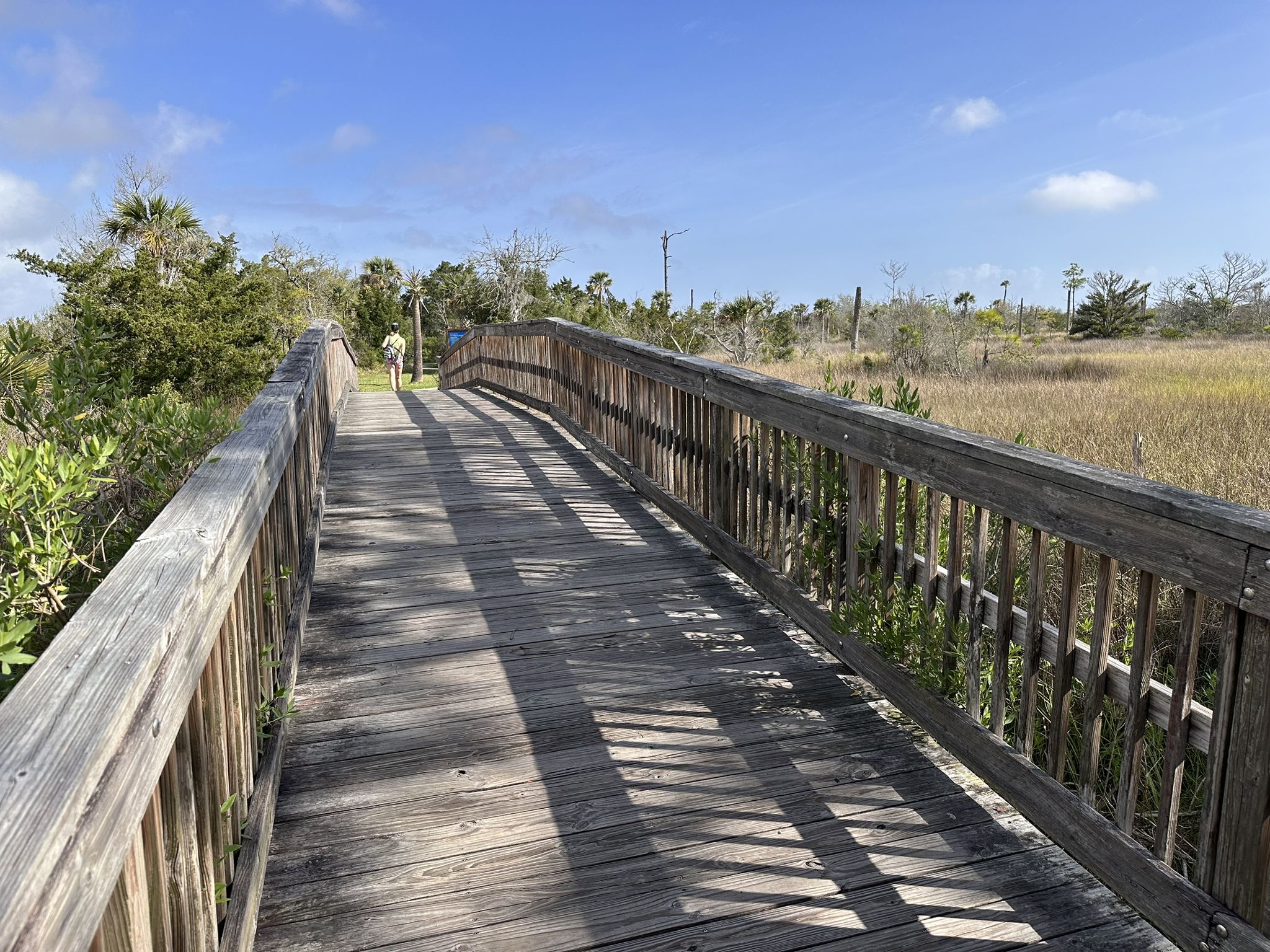 A sunny wooden boardwalk with shadows, winding through marshland and sparse trees. - Island Trail