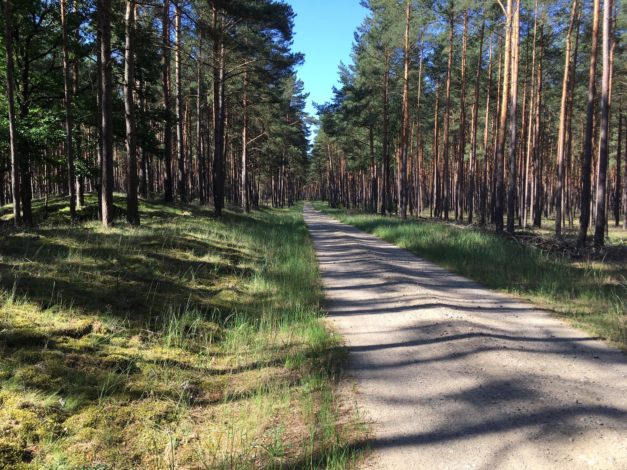 Waldautobahn