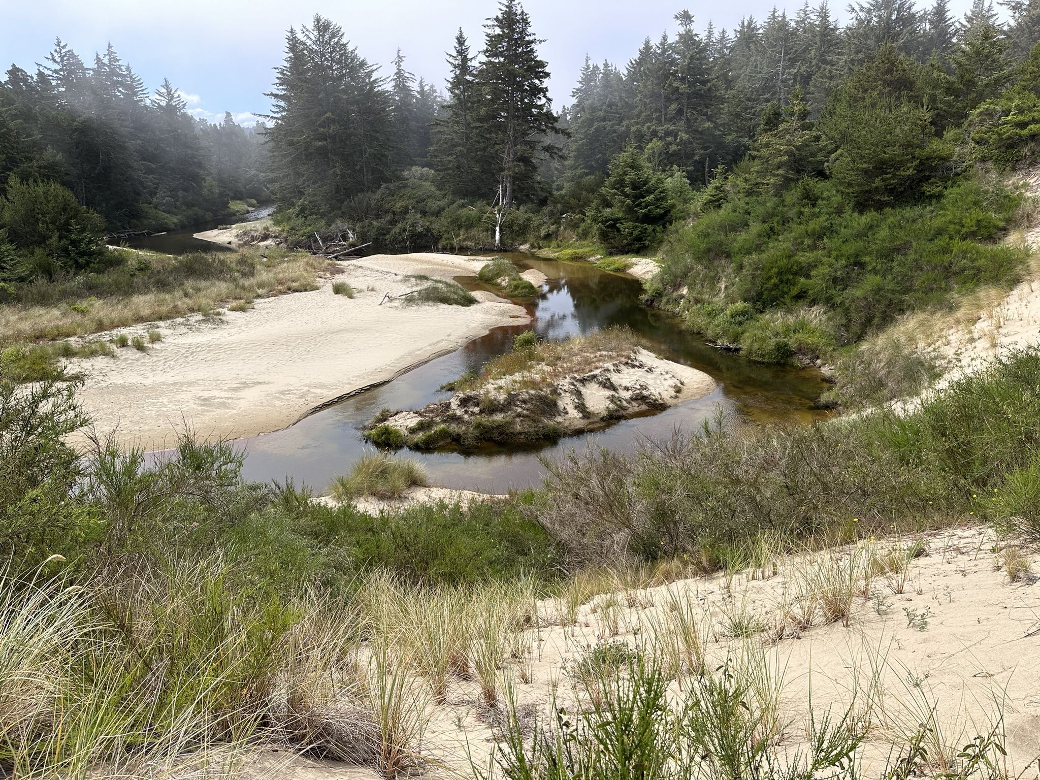 A winding river flows through sandy banks with dense forest under cloudy skies. - Oregon Dunes Loop Trail