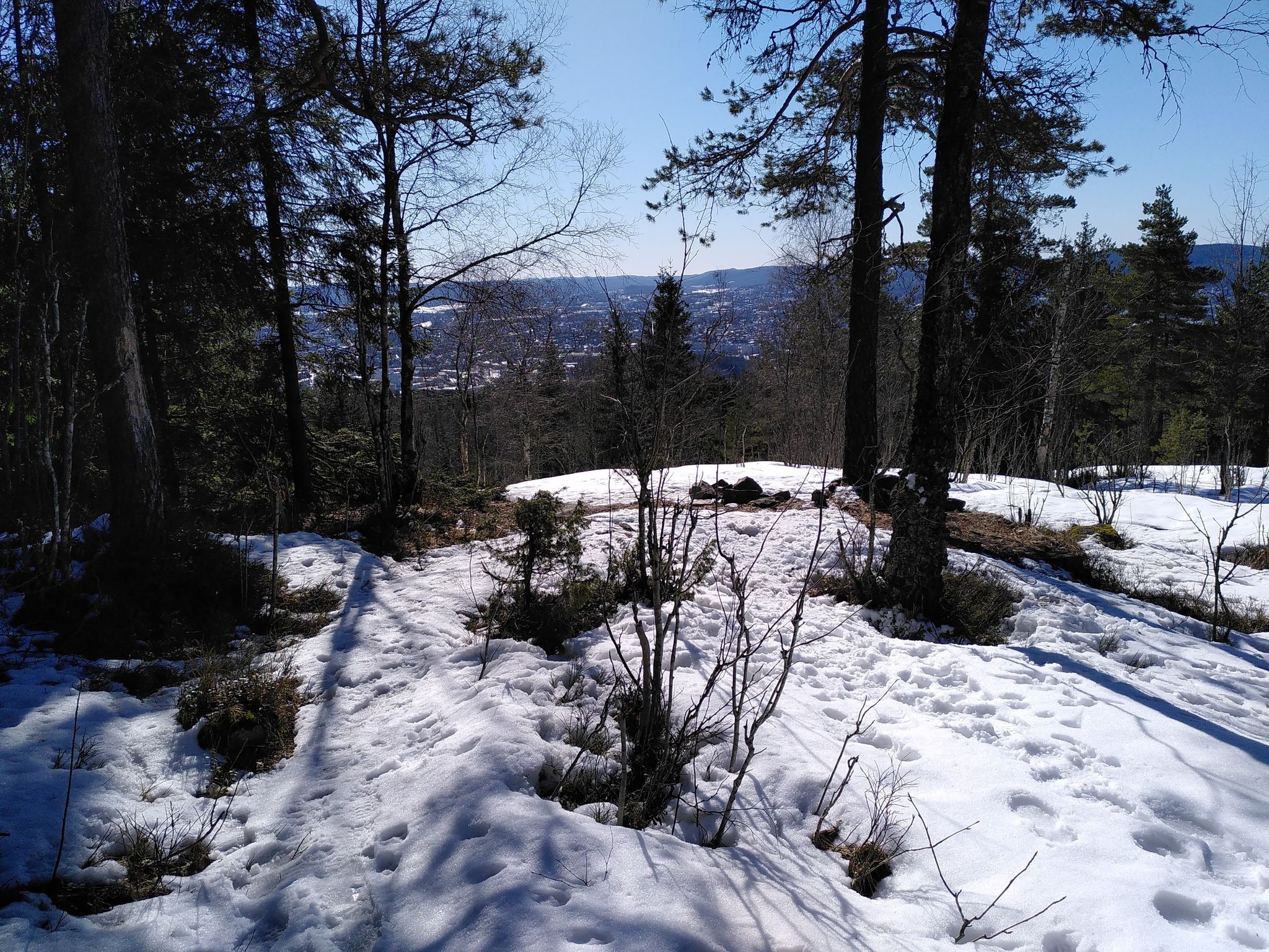 great view