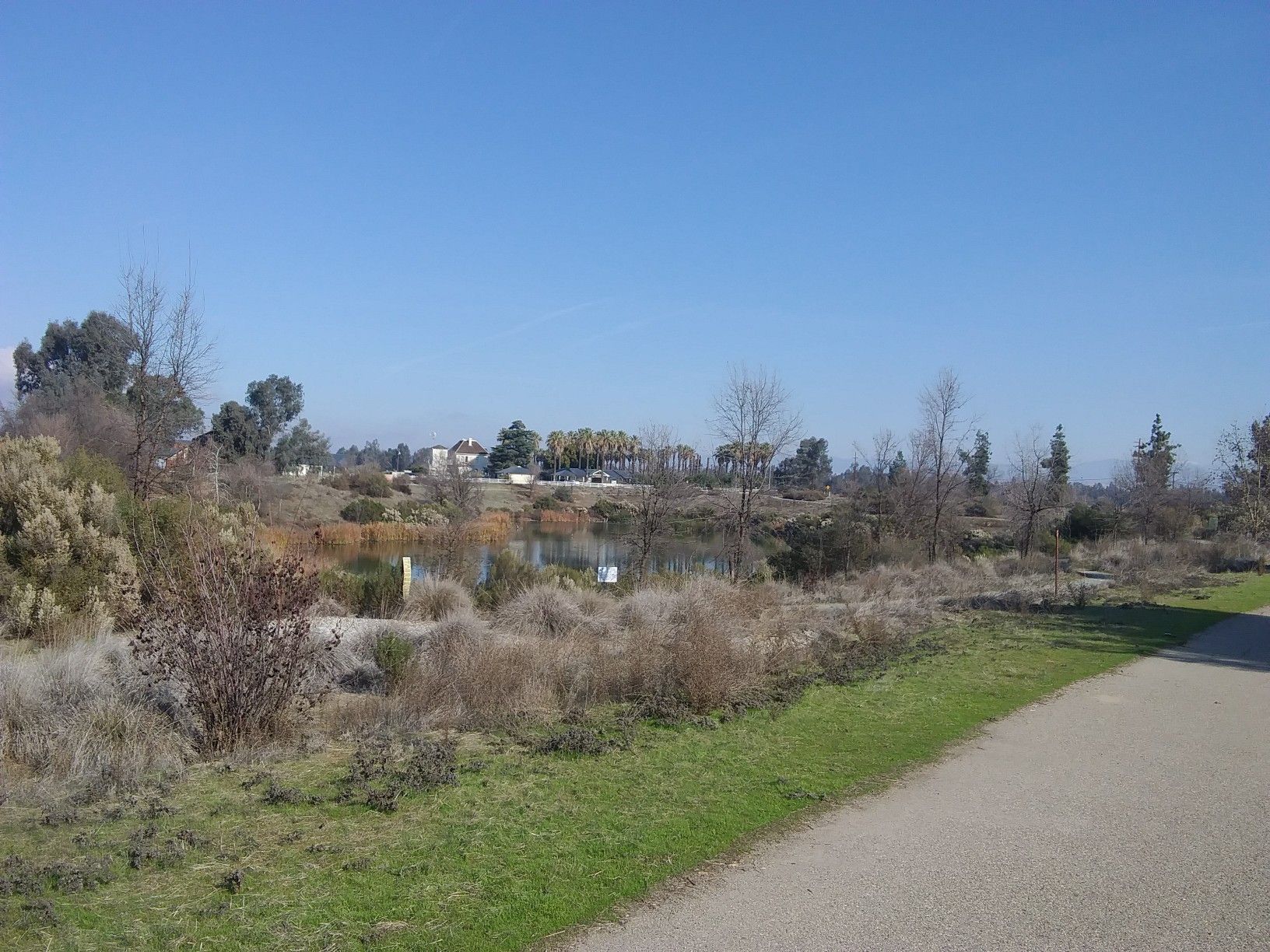 A pond surrounded by dry brush and trees under a clear blue sky. - Lewis S. Eaton Trail