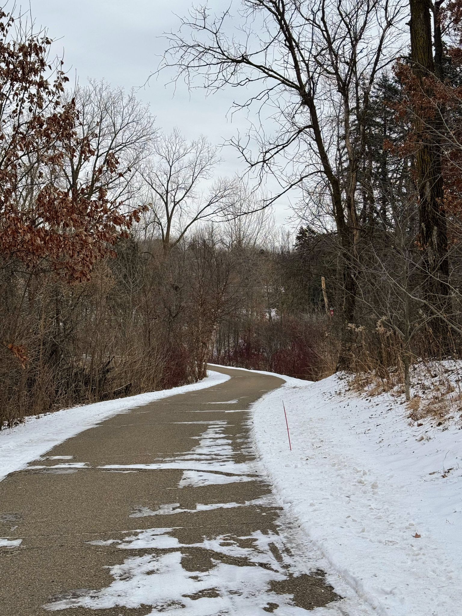 A winding paved path, partially snow-covered, through bare winter woods. - Dodge Nature Center Trails