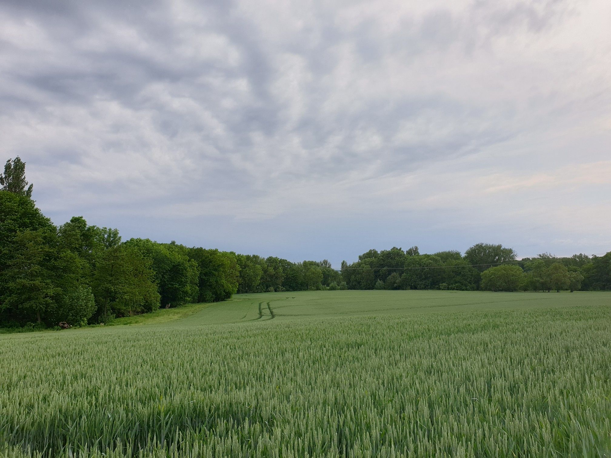 Wetter zieht auf