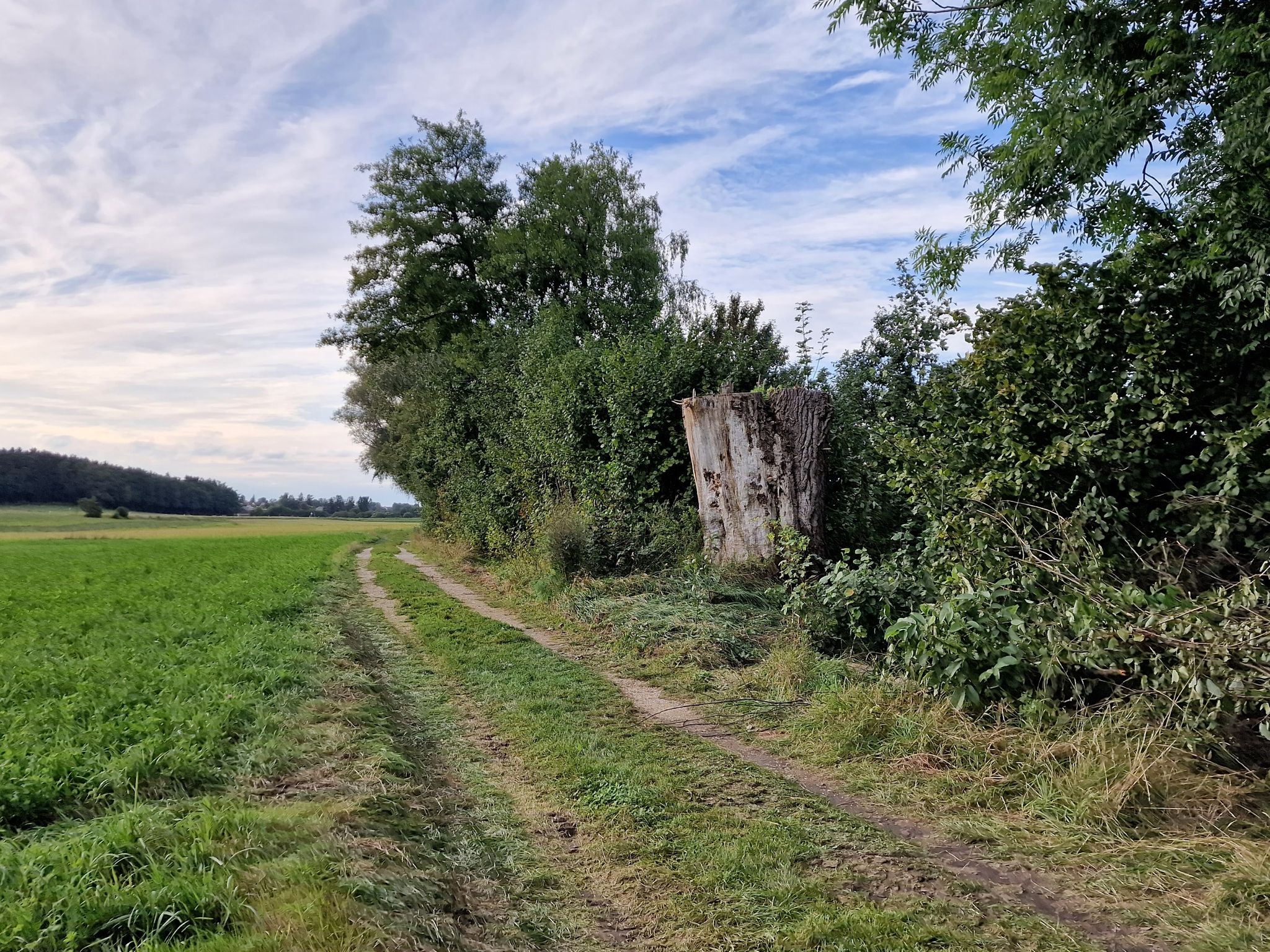 Wie alt der wohl war?