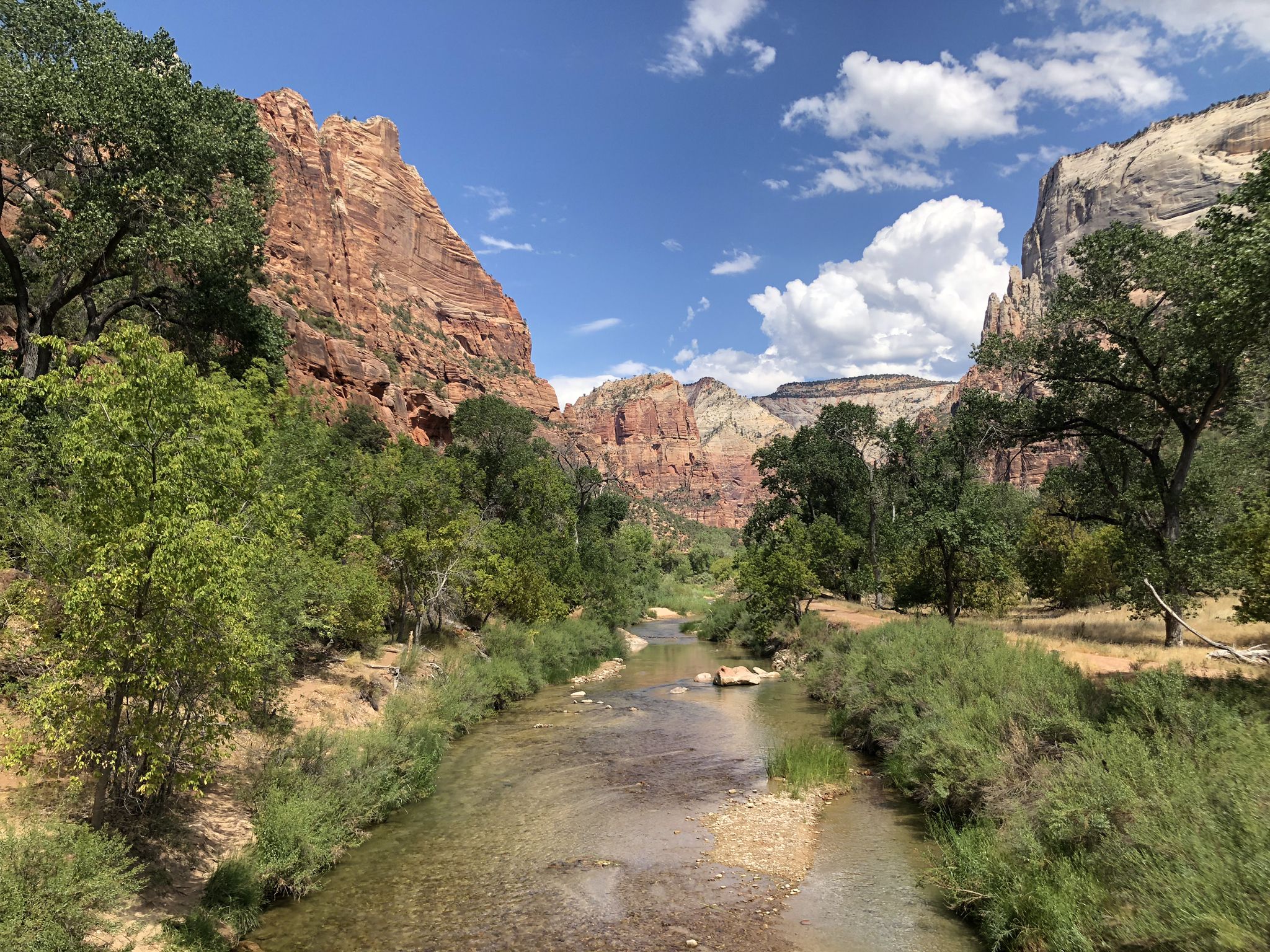 A clear river flows through a green valley flanked by tall, red canyon walls. - Emerald Falls – Emerald Pools Trail loop from Zion Lodge