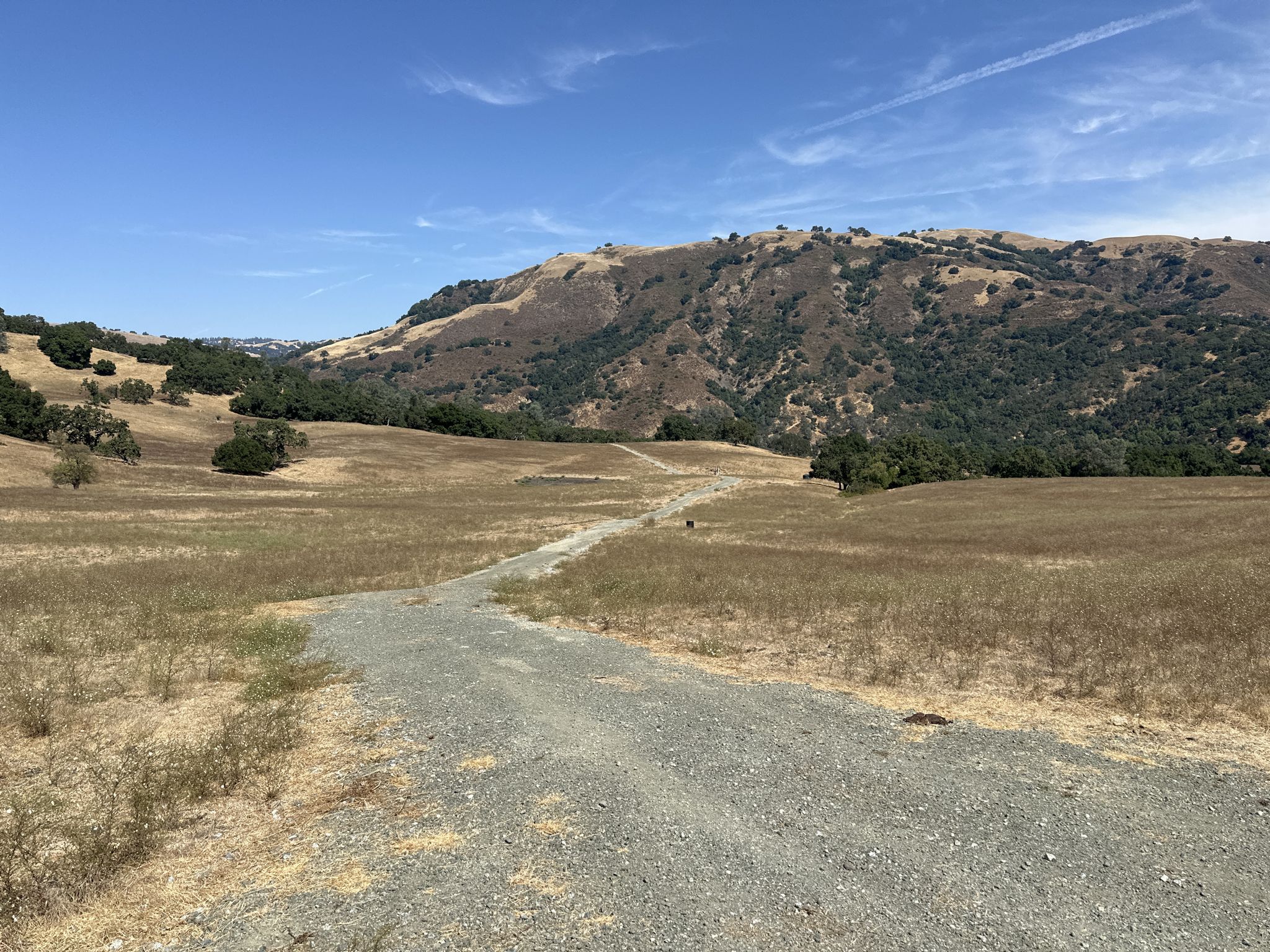 Gravel path winding through dry grassy hills under a clear blue sky. - Willow Springs Trail – Townsprings Trail loop from San Martin