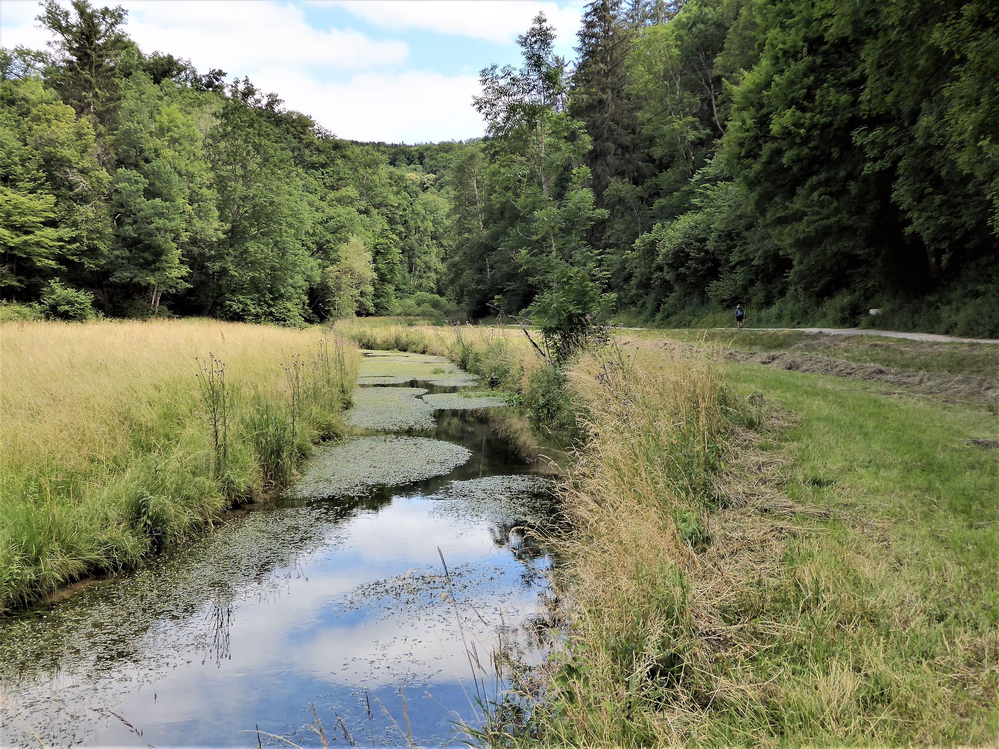 Am Hasenbach