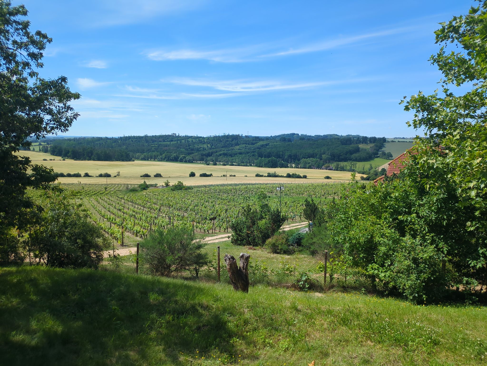 Sádek 
