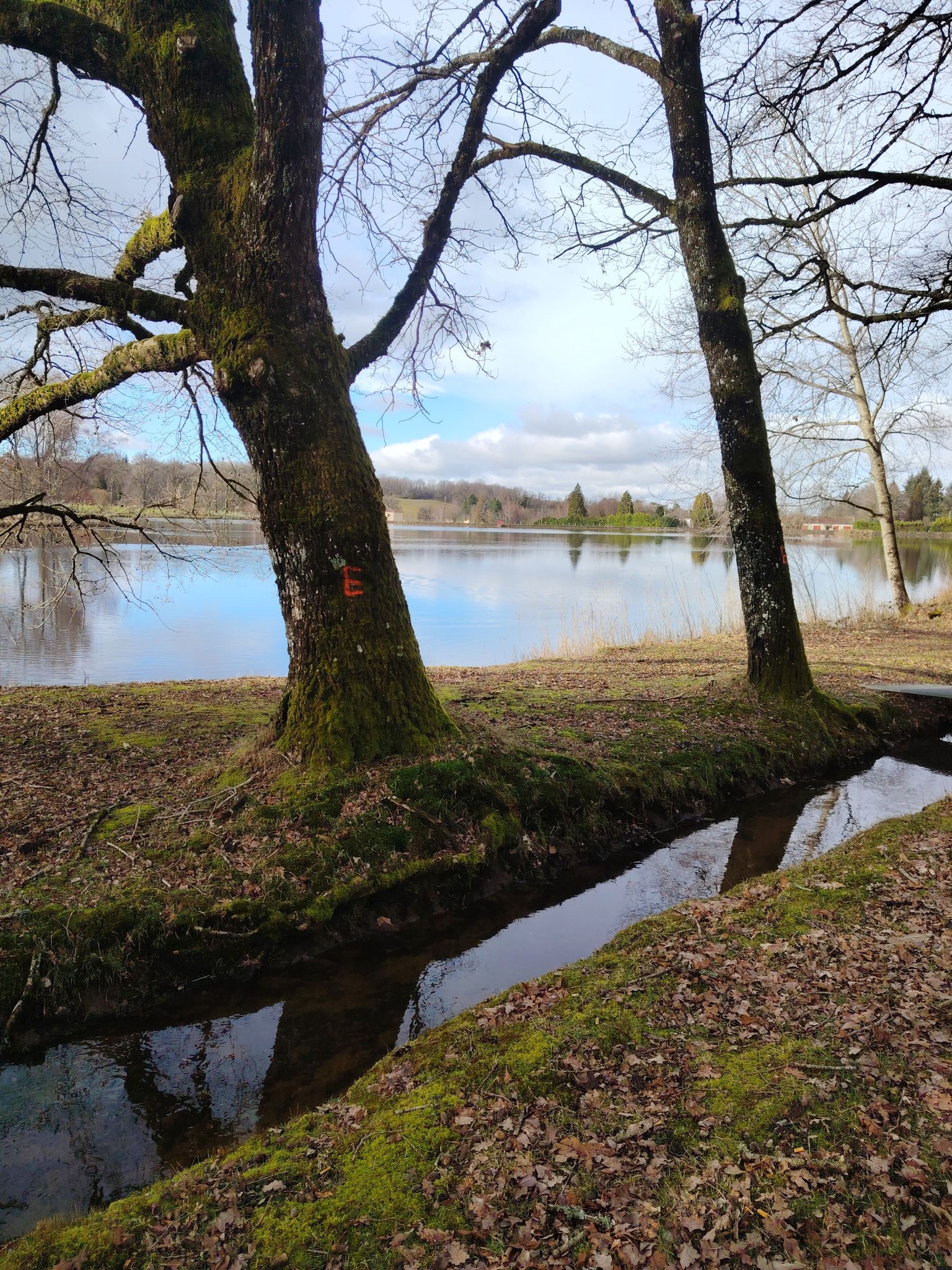Étang de la lande