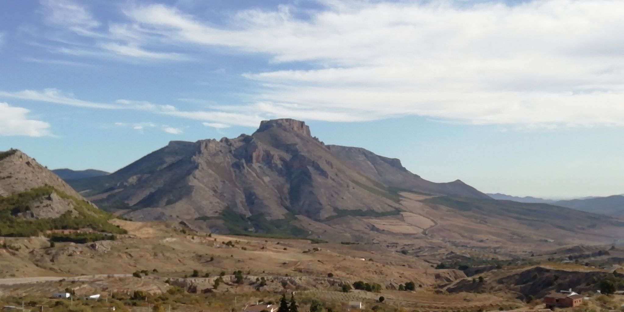 la muela