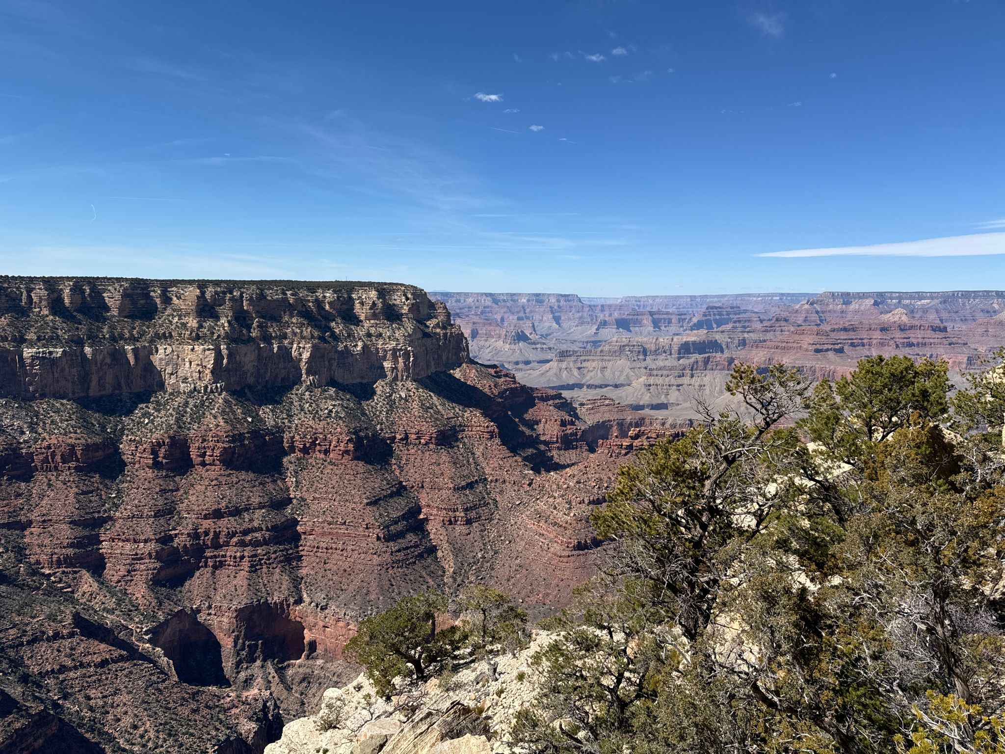 Expansive canyon view with layered rock formations and green trees. Clear sky. - Hopi House – View of the Grand Canyon loop from Grand Canyon