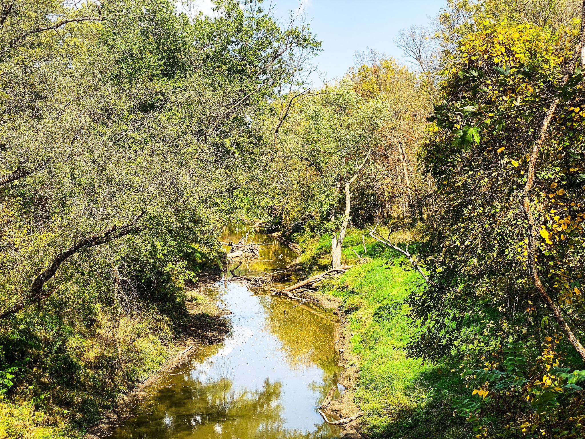 A winding river flows through a lush, sunlit forest with green and yellow trees. - Great Western Trail