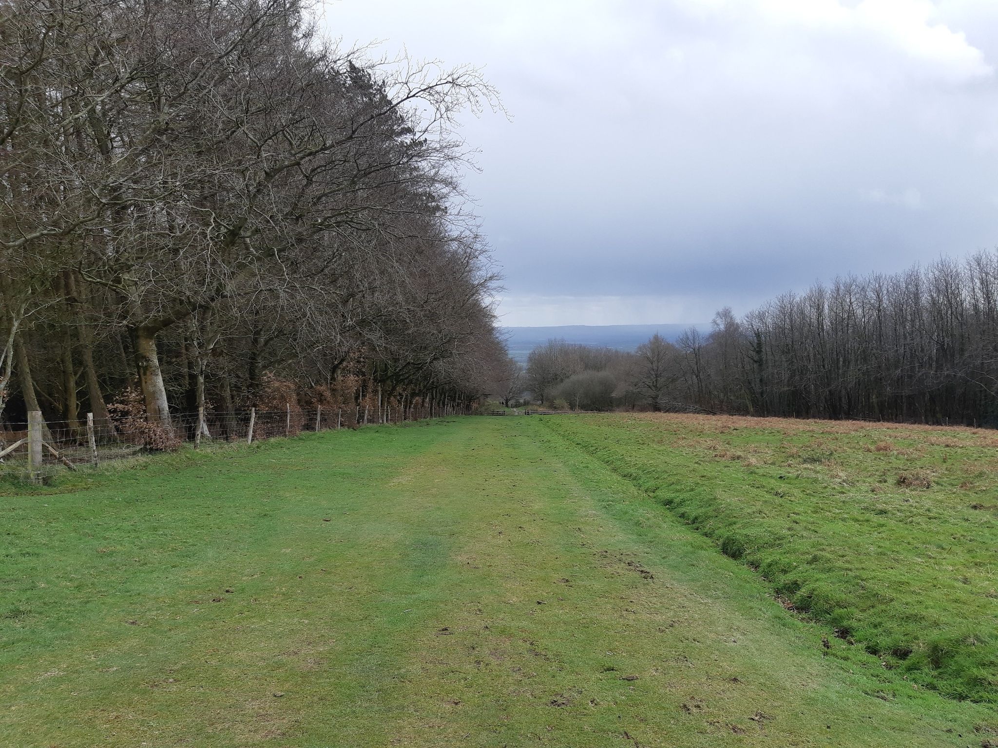 Downhill