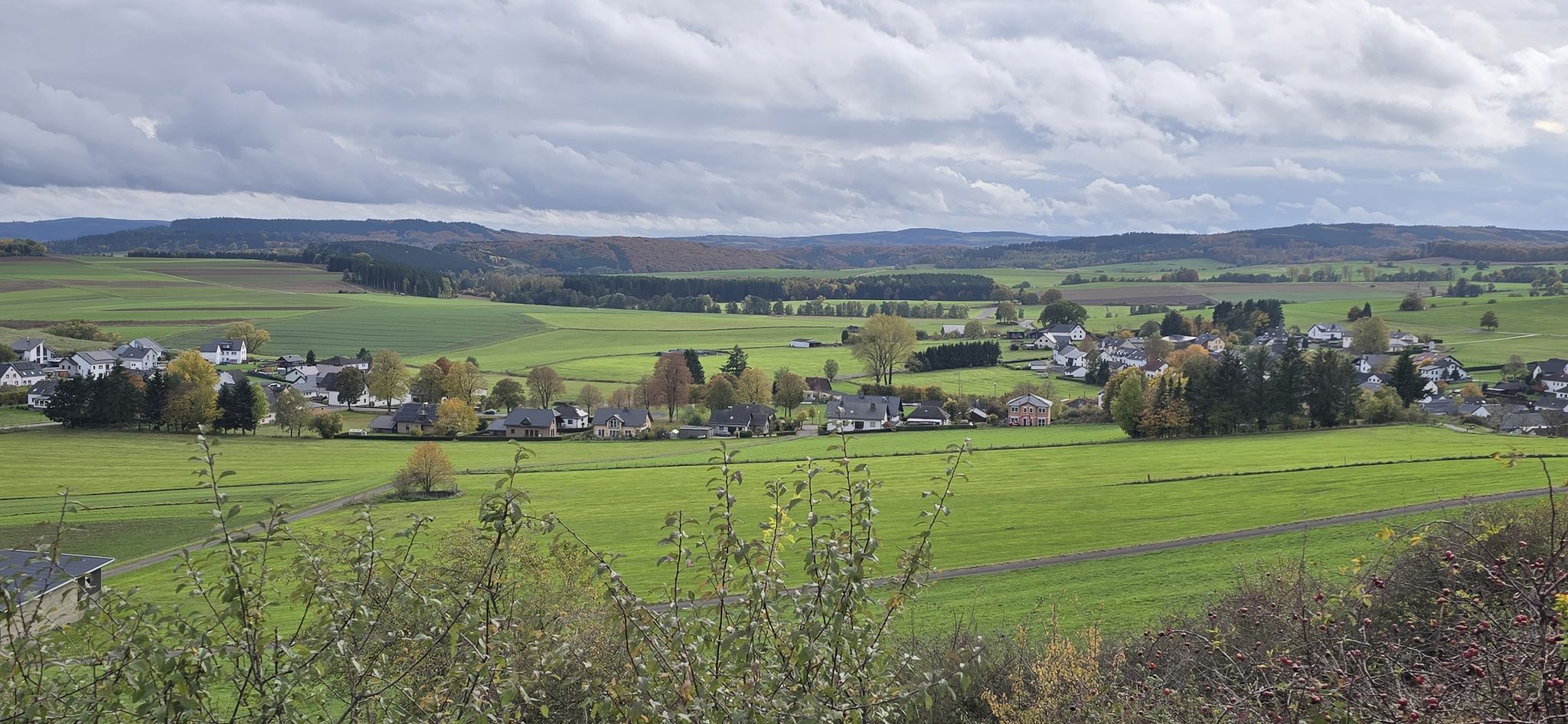 Steffeln