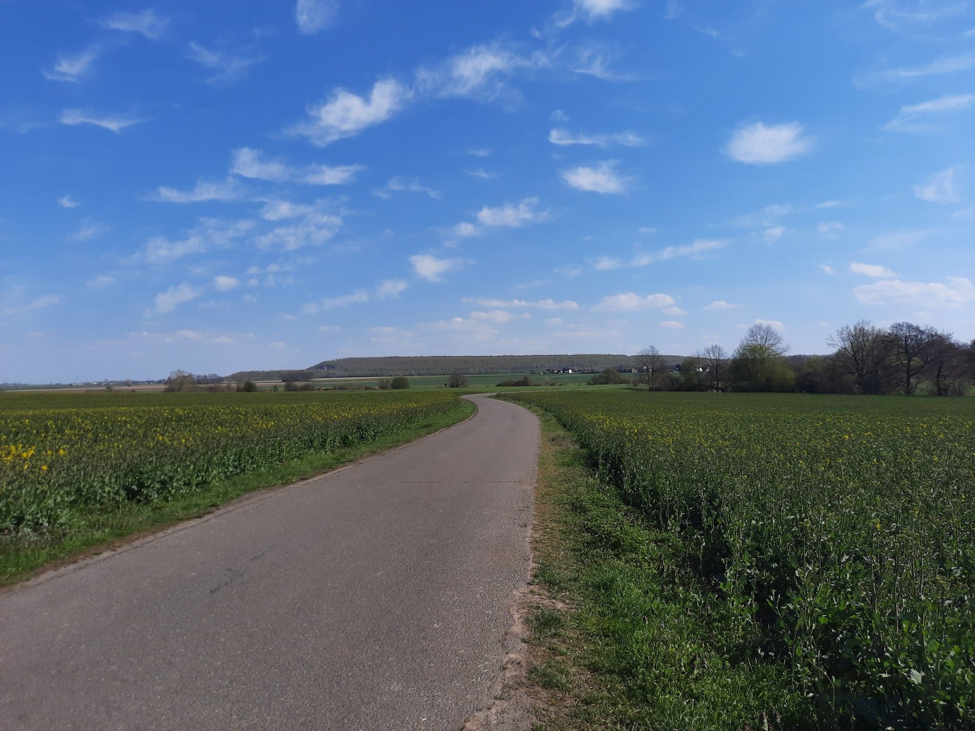 Richtung Mölbis