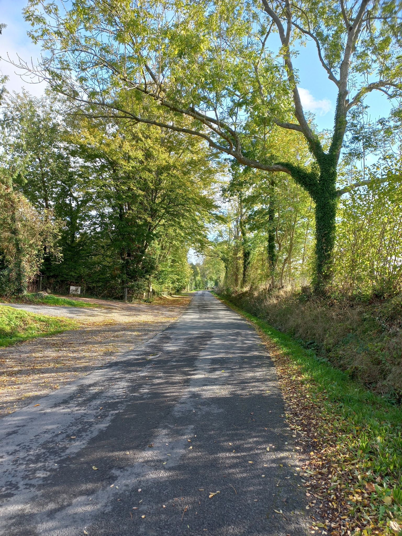 Route tranquille en direction de Pont l évêque