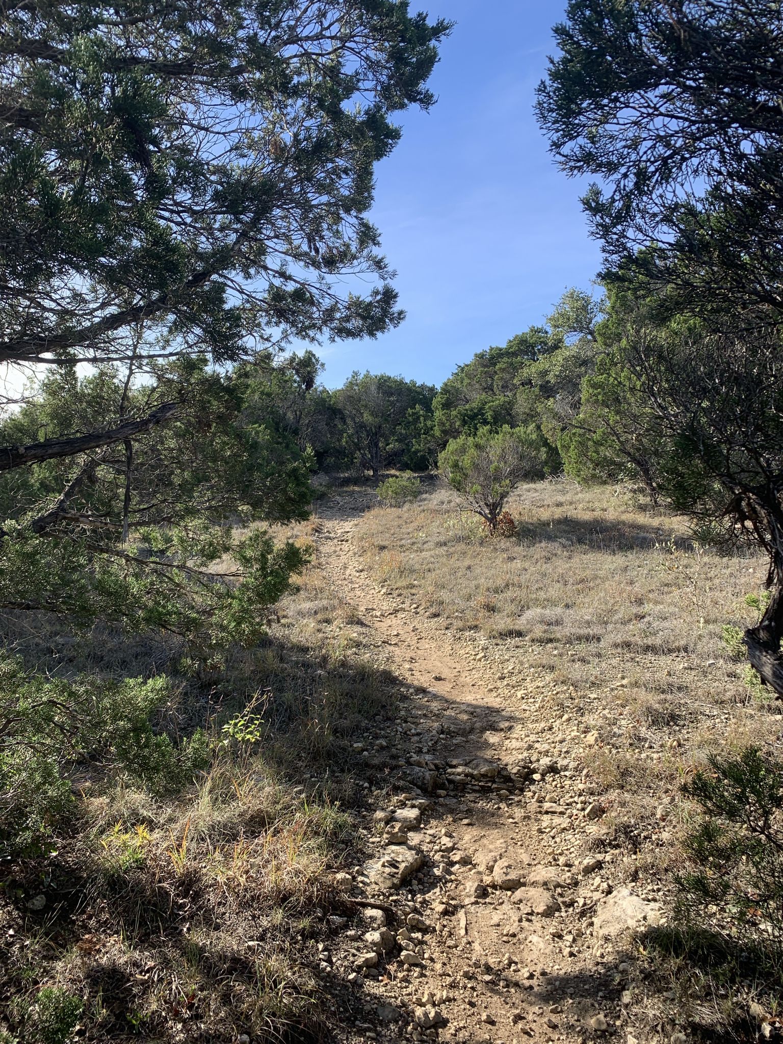 A rocky, dry dirt path winds through sparse trees and brush. - Lost Creek Trail Loop