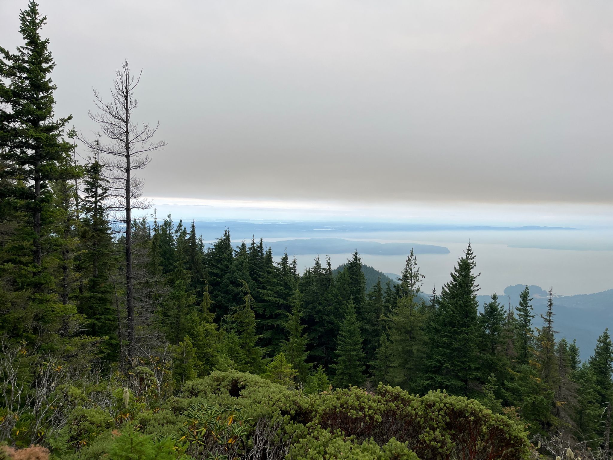 Overcast view of a dense evergreen forest overlooking a large body of water. - Mt. Walker Trail #894