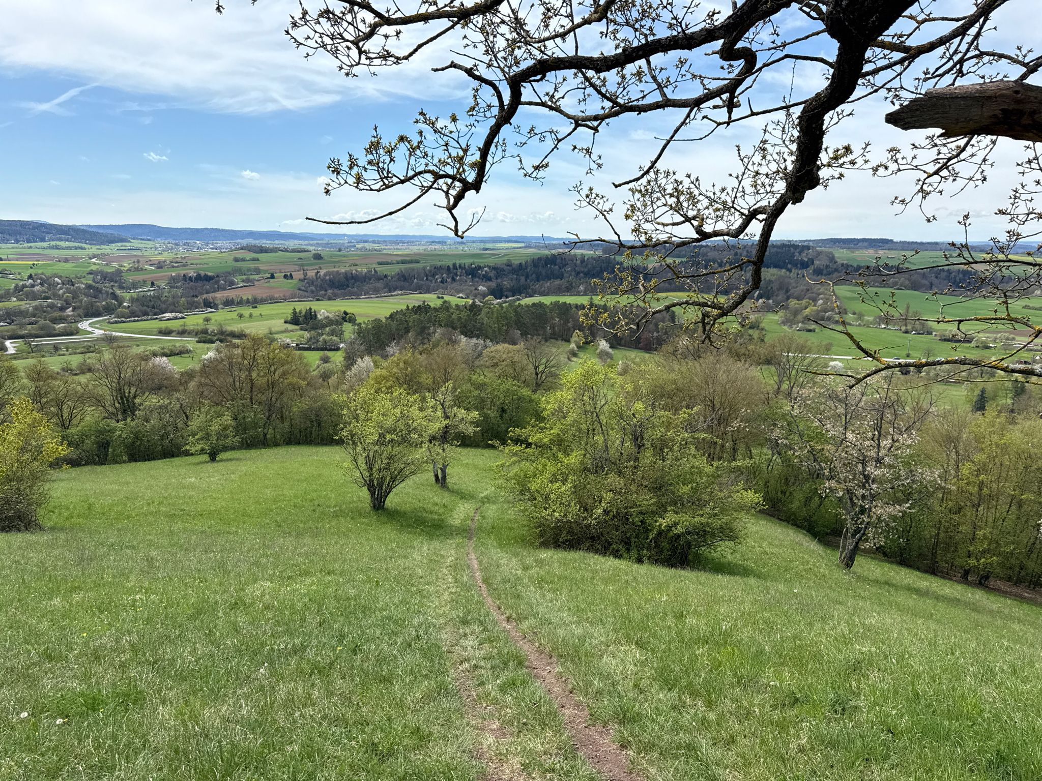 Wiesenweg 🏞 - Rappenberg ⛰ - NSG Rappenberg 🏞 - Rammert 🌲🌳🌲 - Rottenburg-Weiler - LKR. Tübingen