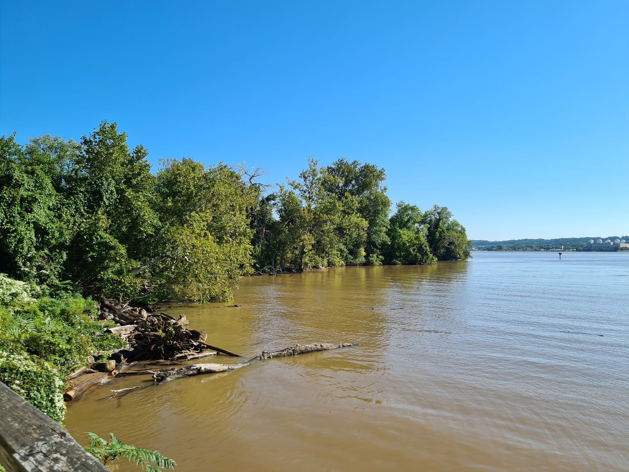 Wide, muddy river with green trees lining the shore under blue sky. - Mount Vernon Trail – Waterfront Park loop from Fort Hunt