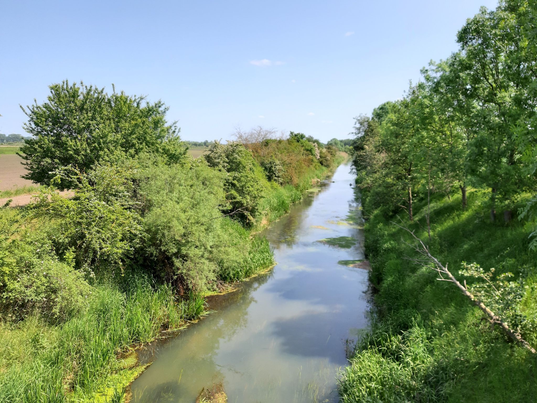 Lehnertsgraben