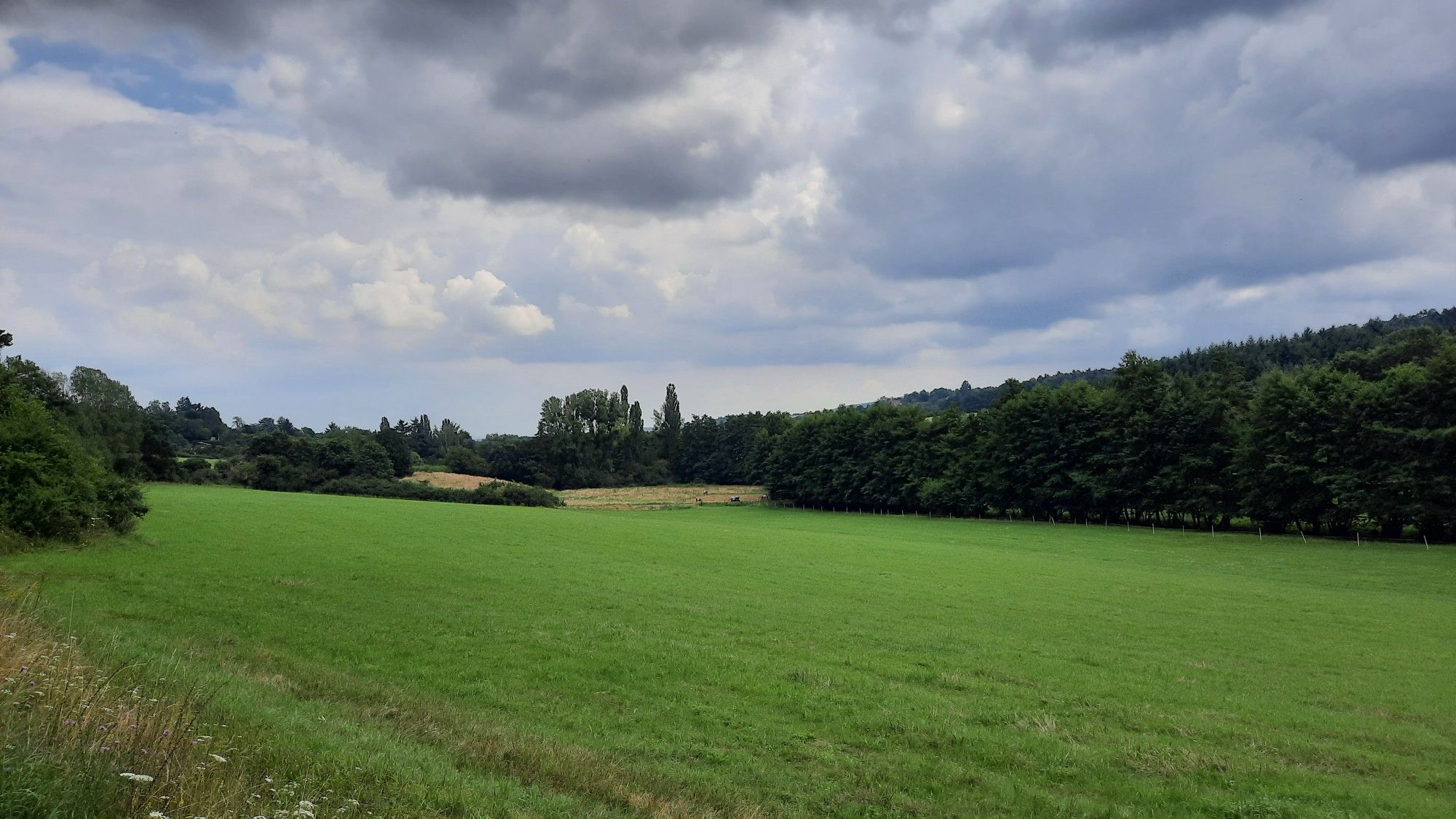 Isseltal