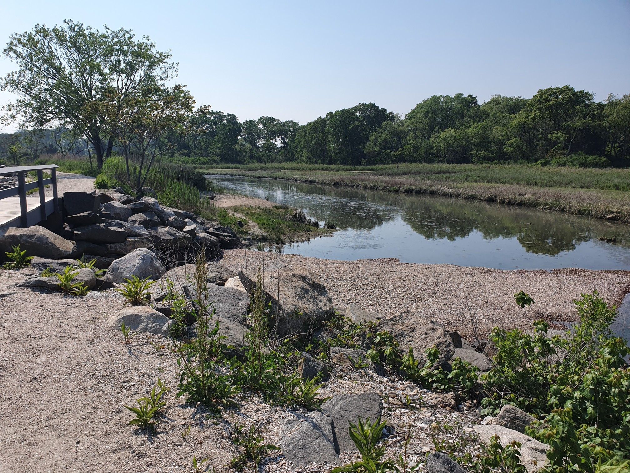 A sunny view of a calm river with a small bridge and green trees. - Greenwich Point Park Loop