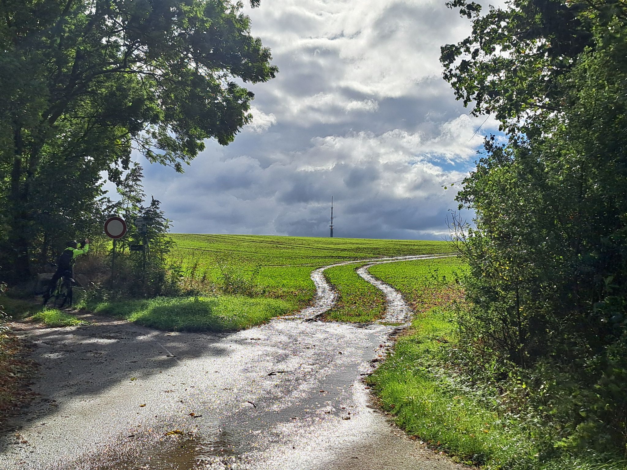 Der Weg nach links ist richtig!