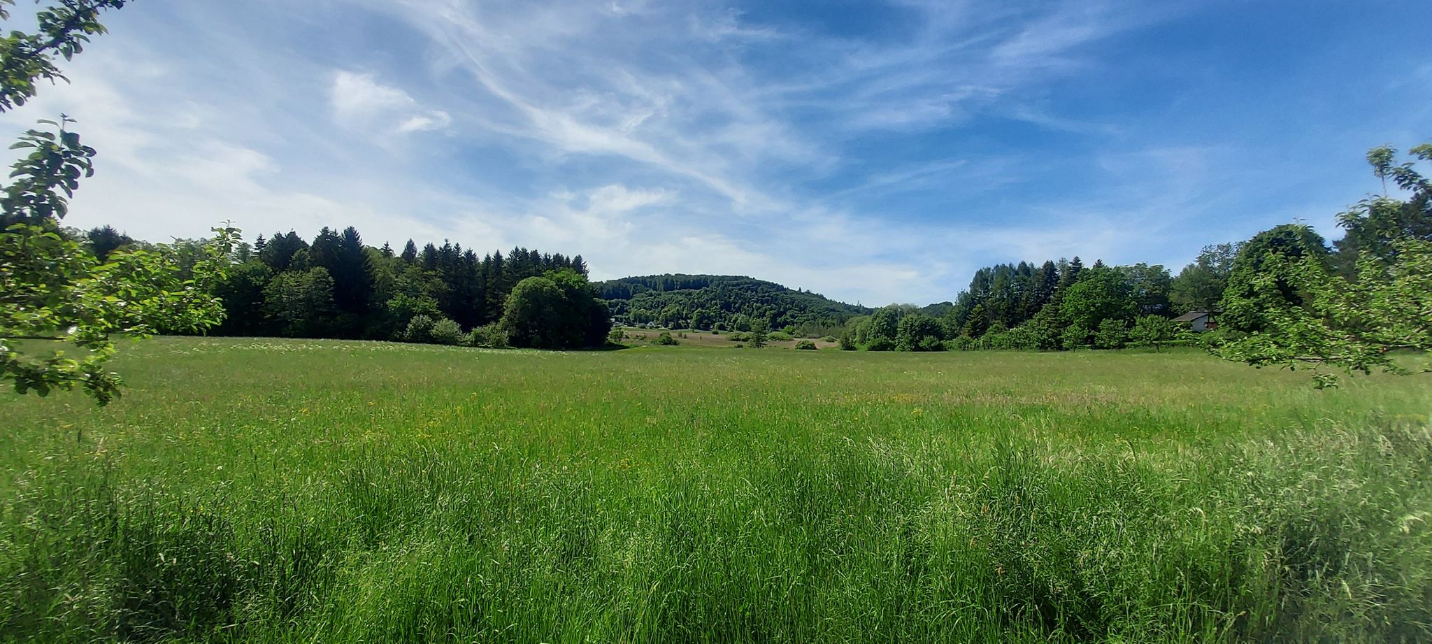 Rechte seite