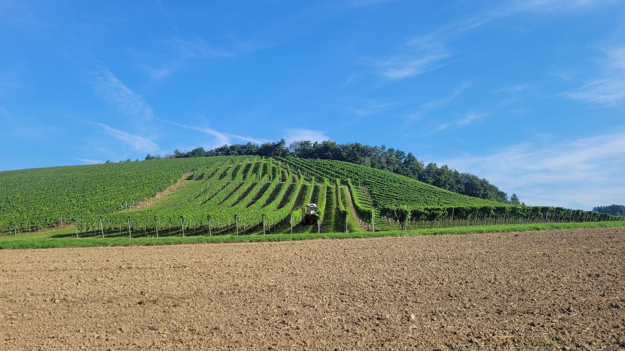 Vor Bermatingen