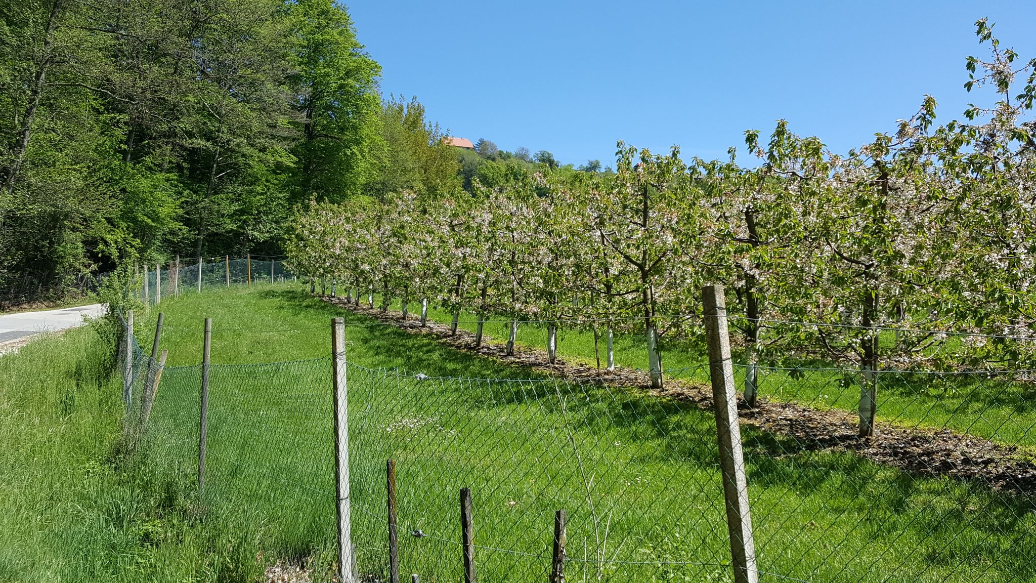 Obertiefenbach