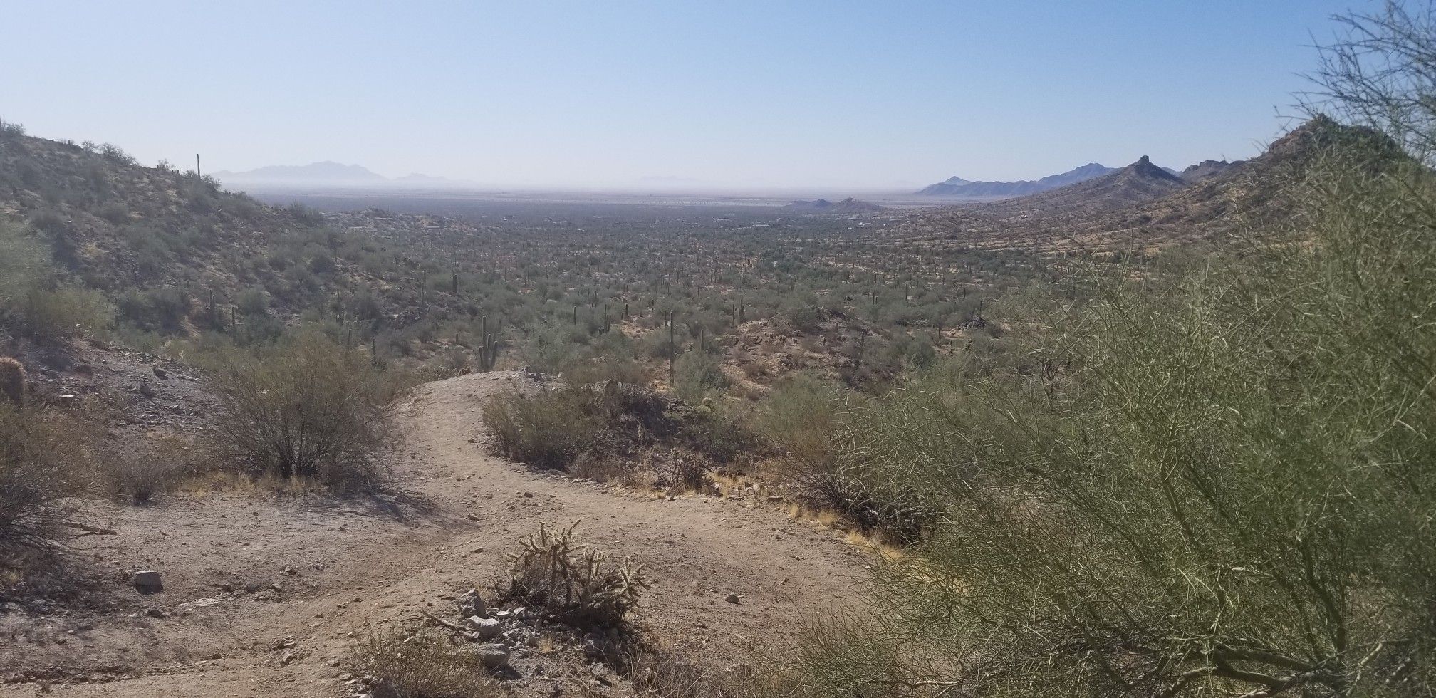 Winding dirt path through a vast, sunny desert landscape with distant mountains. - Dynamite Trail – Hedgehog Trail loop from Chandler Heights
