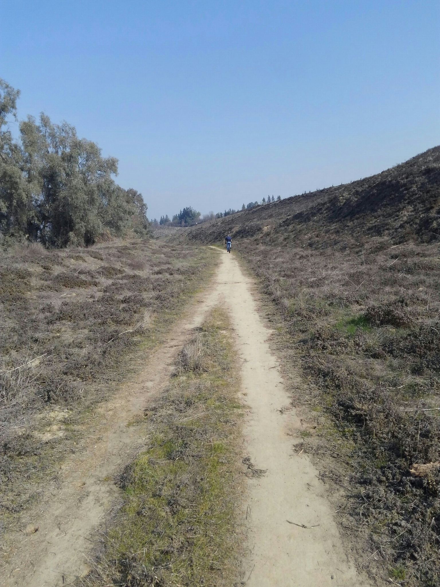 A person walks on a dirt path between dry, scrubby hills under a clear blue sky. - Woodward Park – Parkway Trust/Caglia loop from Parkway Trust / Caglia