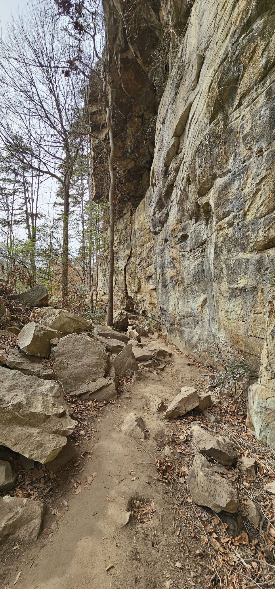 A rocky dirt path winds alongside a towering natural rock cliff. - Whatley Trail, Drift Mine, and Black Creek Trail