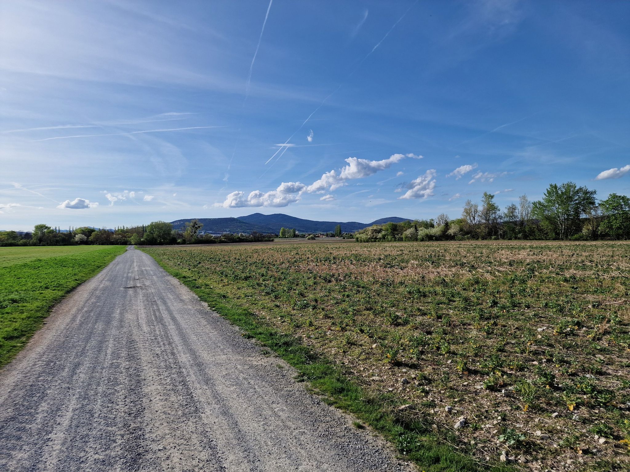 Nach Kottingbrunn