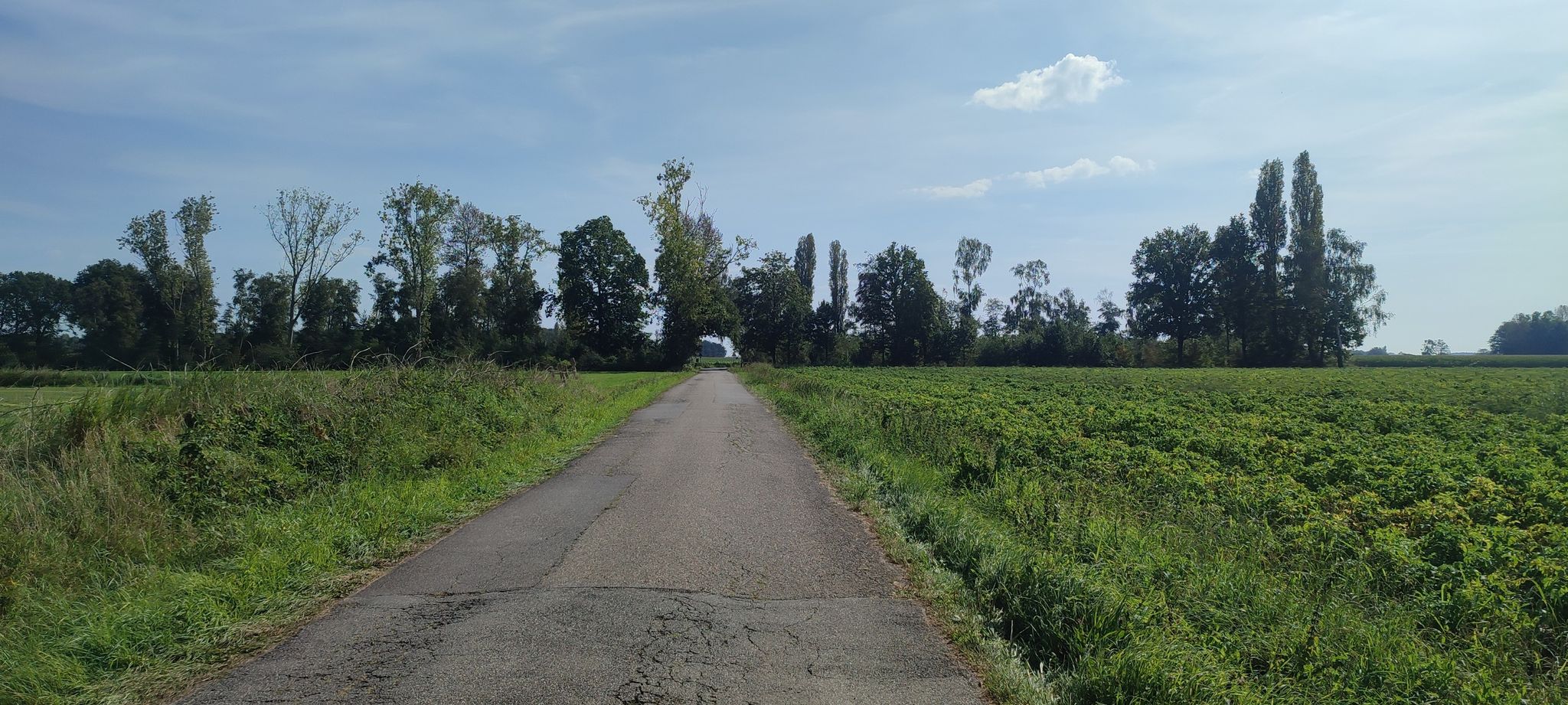 Landschaft