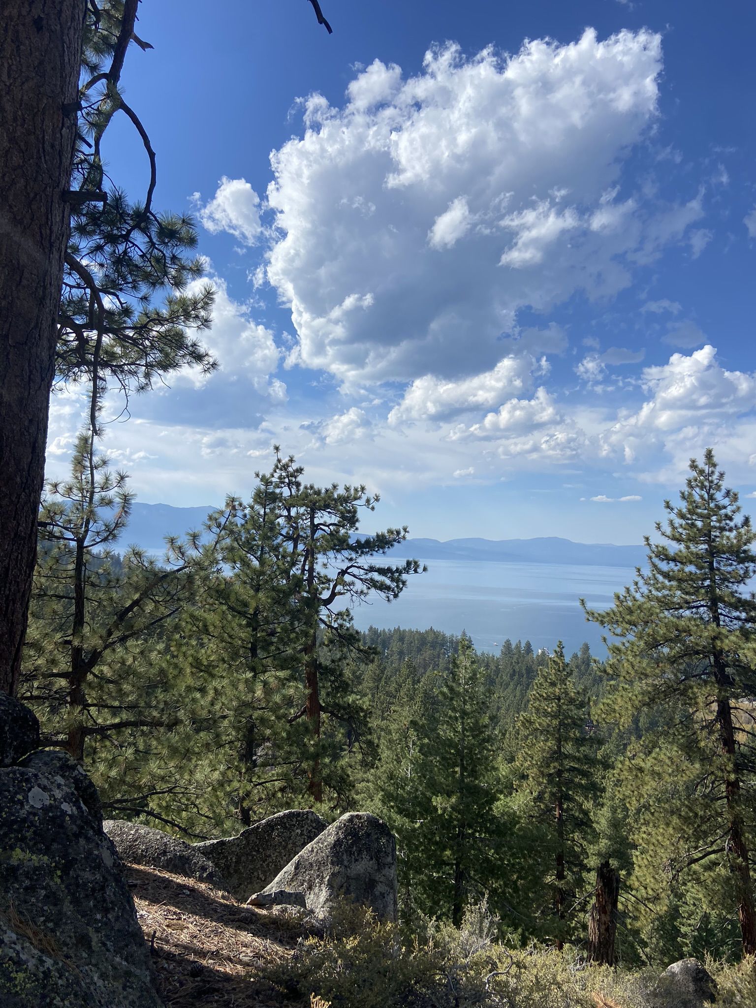 Forest view of a large lake and distant mountains under a cloudy sky. - Round Hill Pines Trail loop from Zephyr Cove