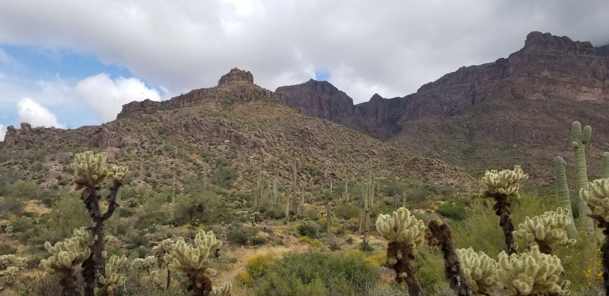 Rugged mountains rise above a desert floor filled with cacti under cloudy skies. - Lost Goldmine Trail