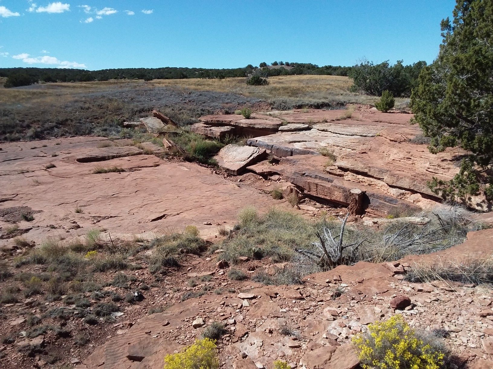 Red rock formations and sparse desert vegetation under a clear blue sky. - Mission Ruins Interpretive Trail