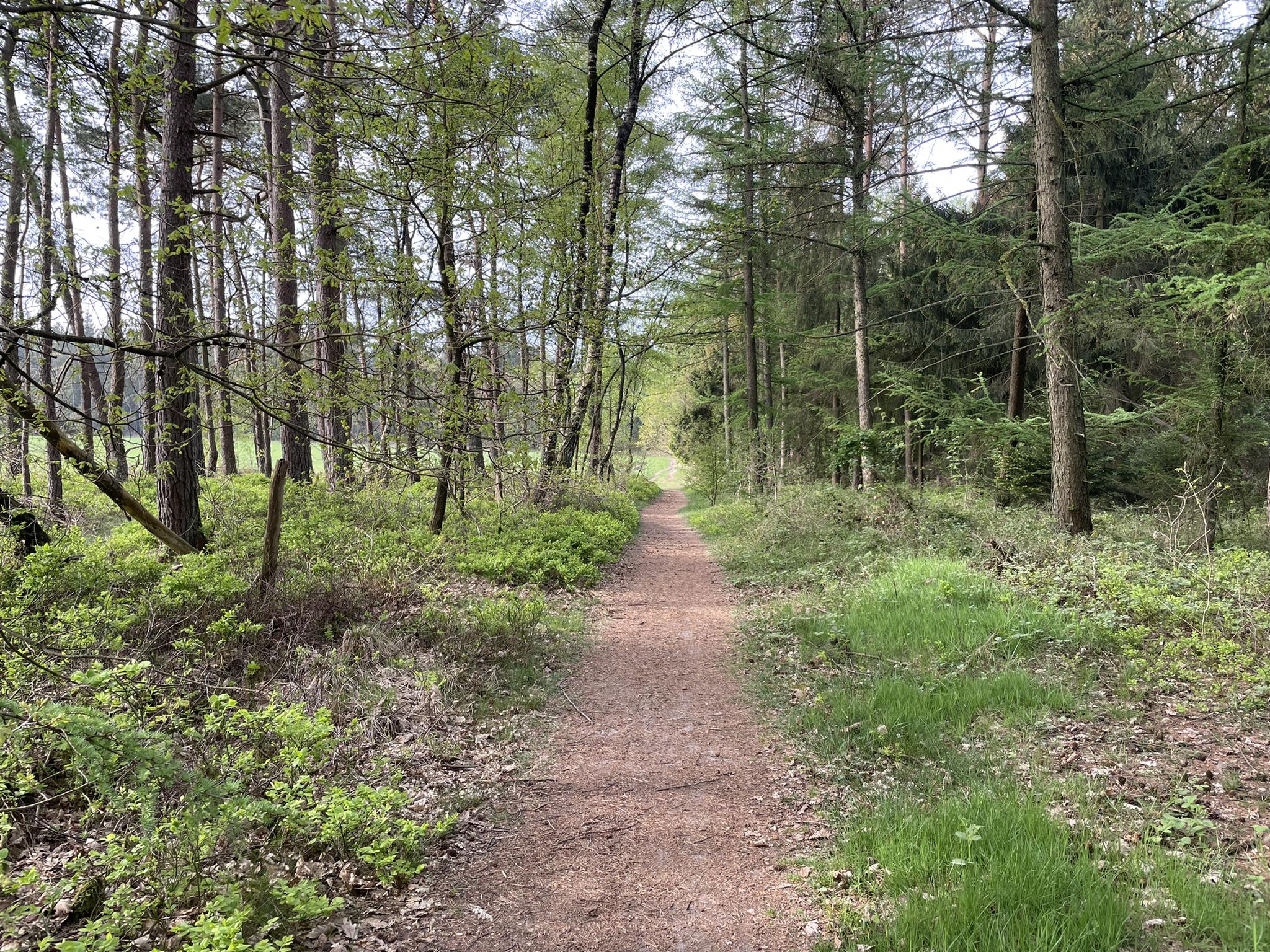 O que fazer em Nsg Spreewiesen Südlich Beeskow