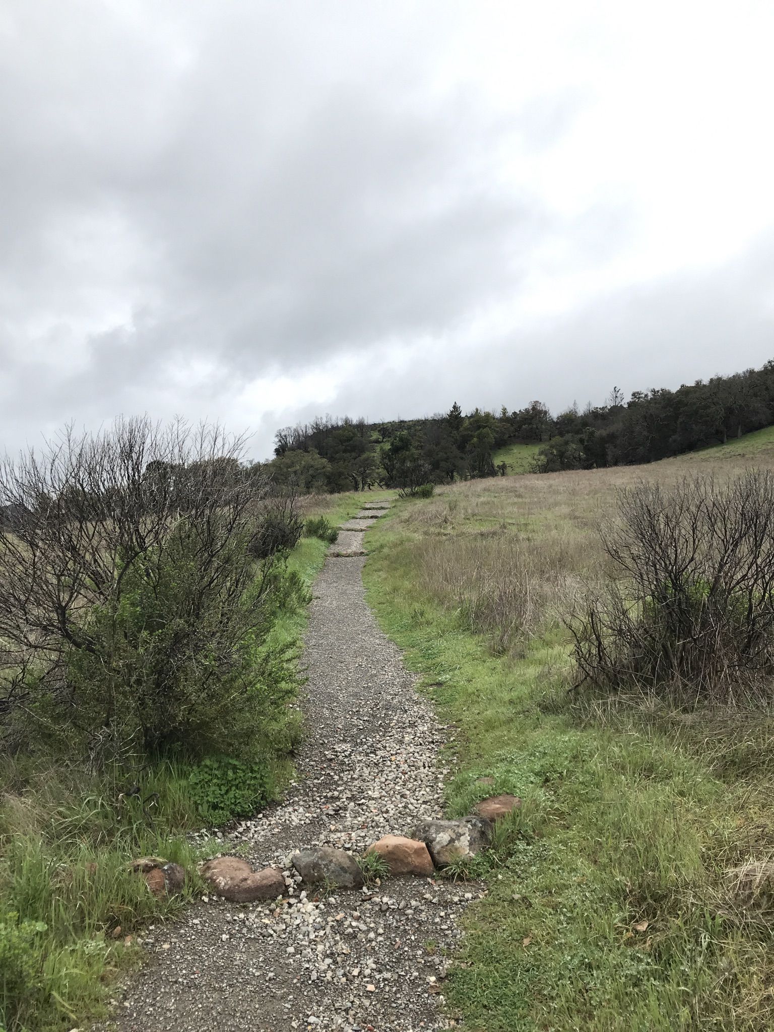 Gravel path with a rock barrier leading through a grassy field. - Pony Gate, Bald Mountain Trail, and Lower Bald Mountain Trail Loop