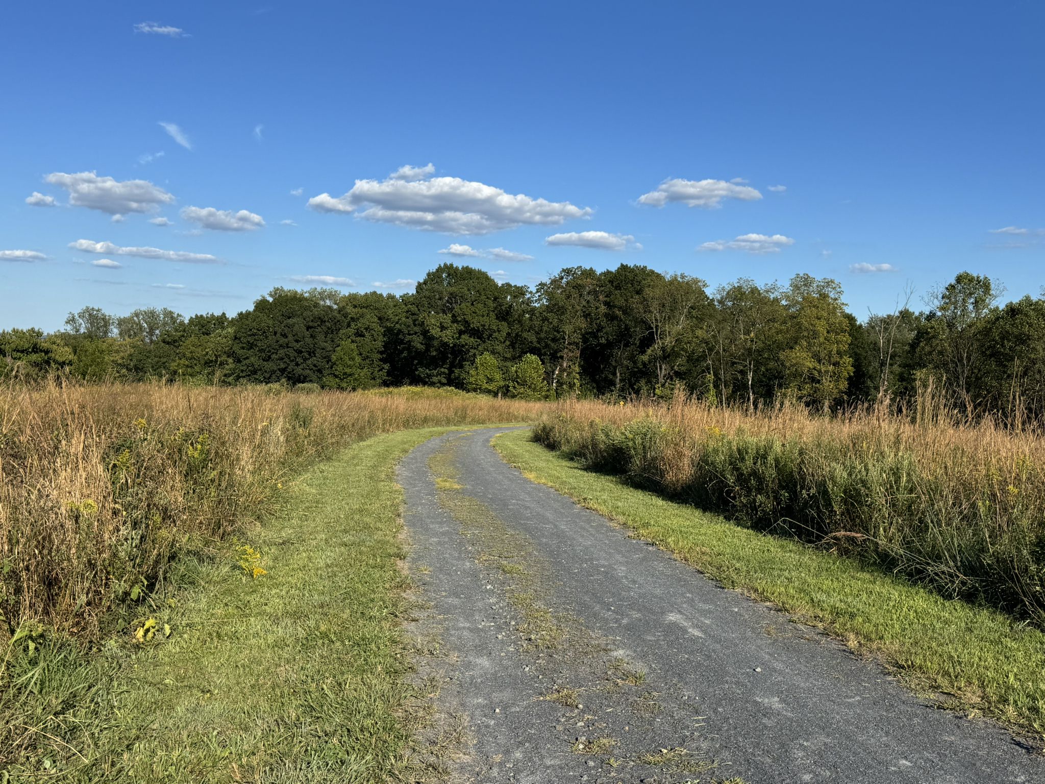 Gravel path curves right through a sunny field with distant green trees. - Pottstown Riverfront Trailhead – Big Woods Trail loop from Parker Ford