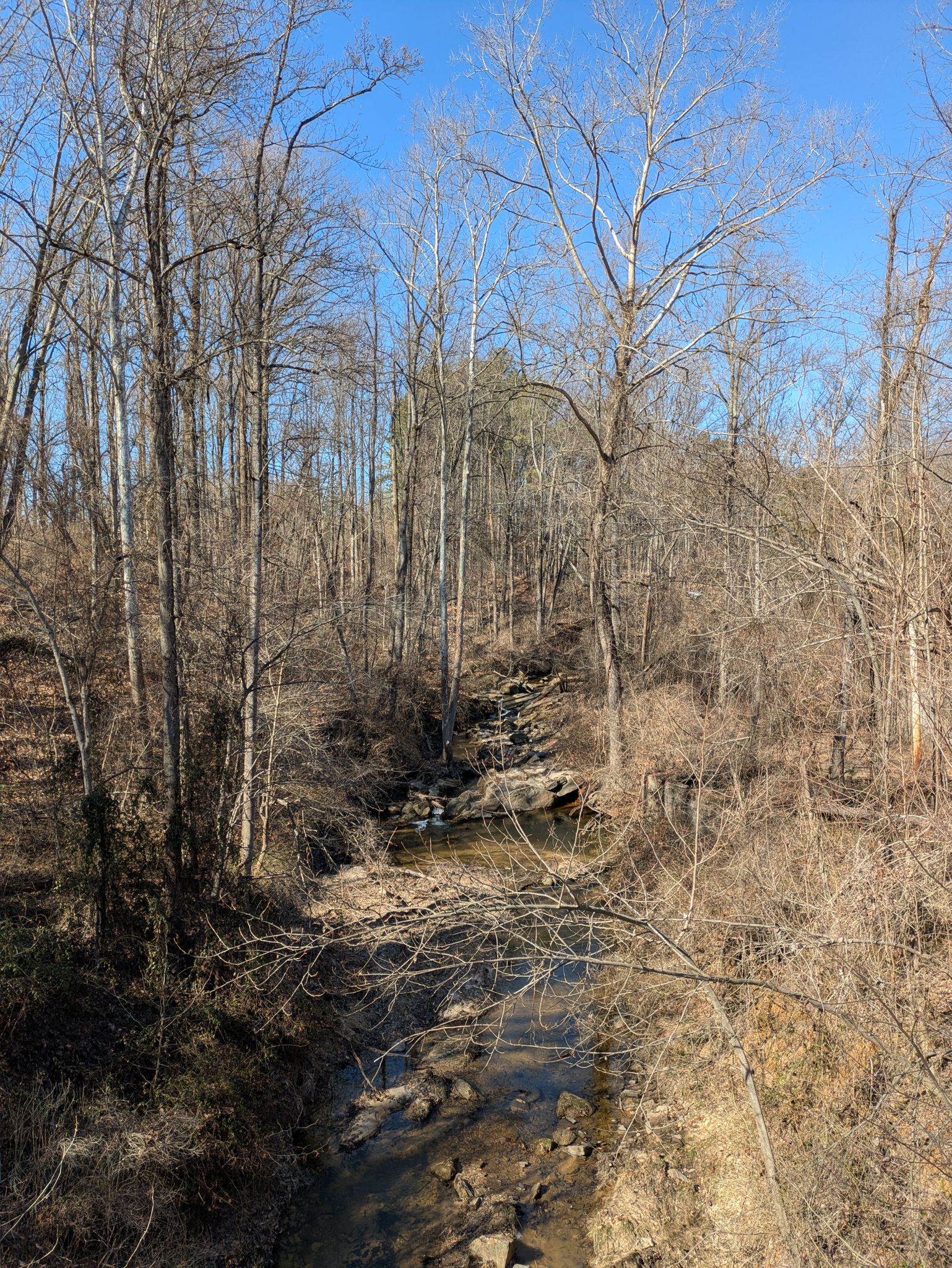 Wooded streams on the Fairfax Cross County Trail