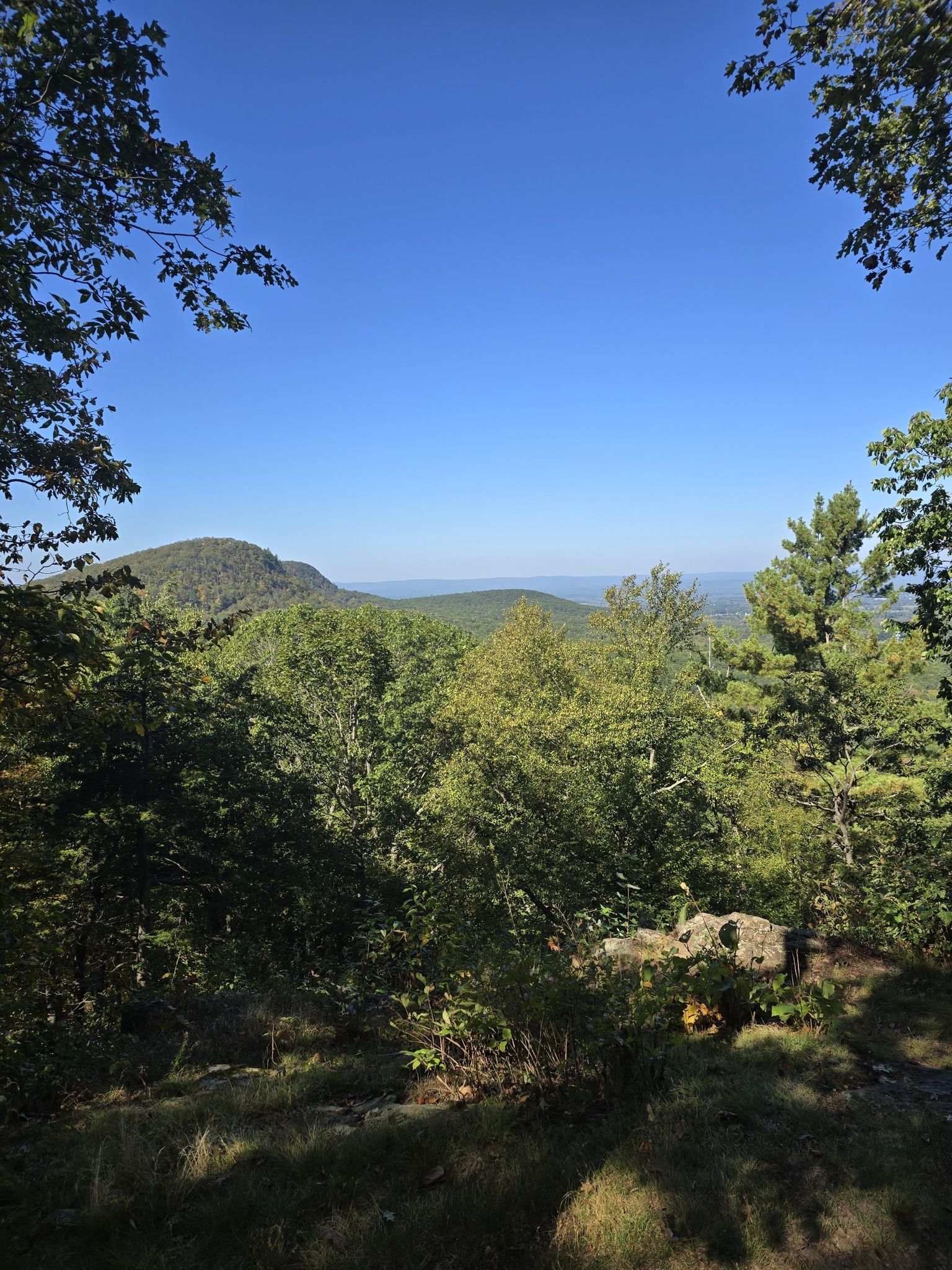 Sunny mountain vista with dense green forests under a clear blue sky. - MA NET: Section 8