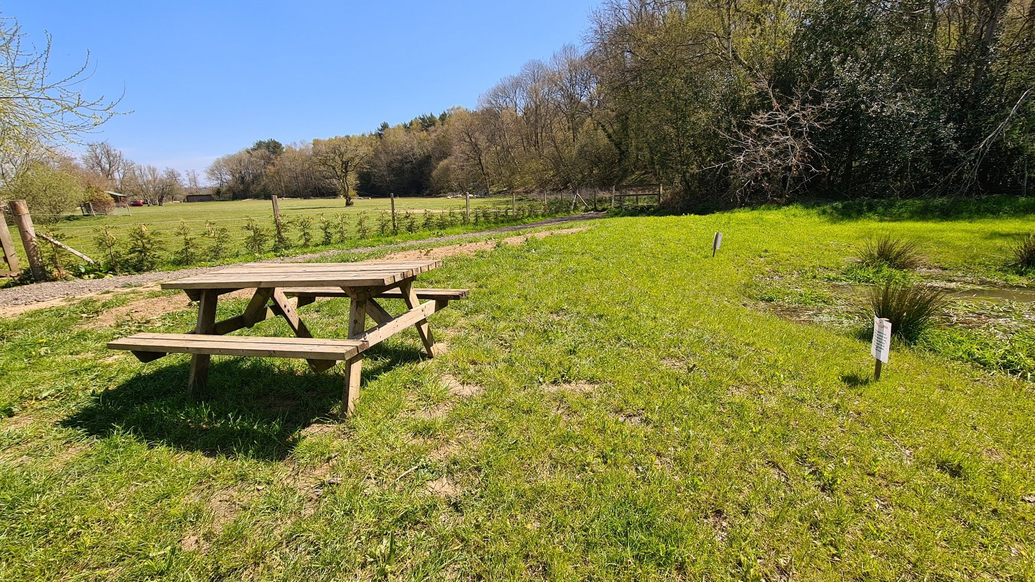 Good spot for picnic 