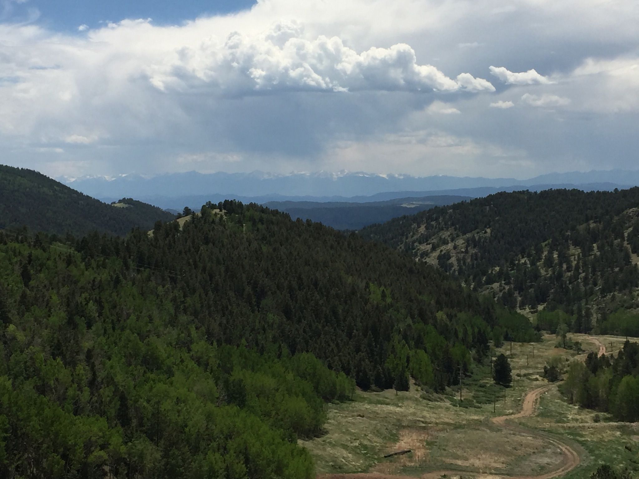 Rolling green forested hills and a valley with a dirt road under cloudy skies. - Victor loop from Cripple Creek