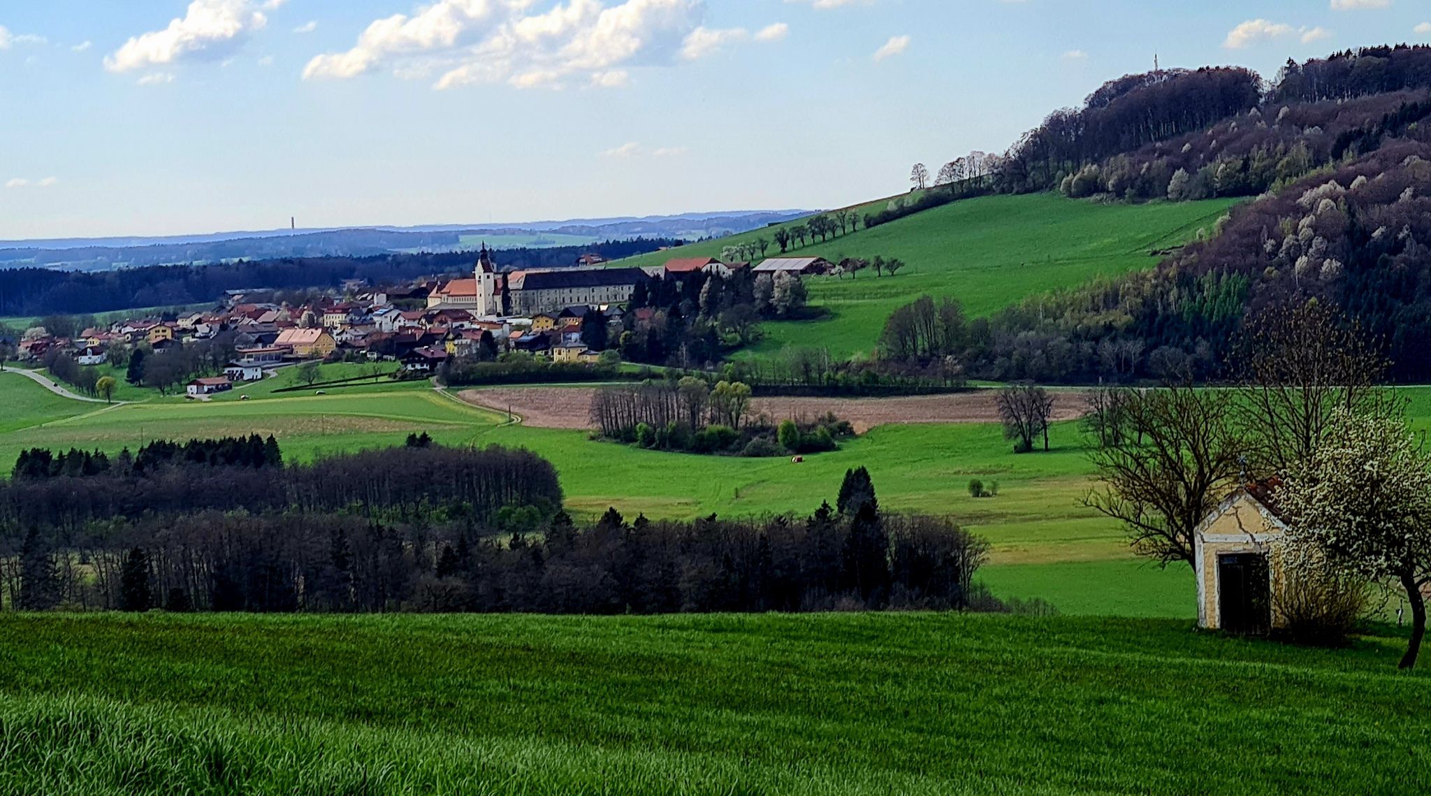 Blick auf Michaelbeuern mit den Stift der Benediktinerabtei