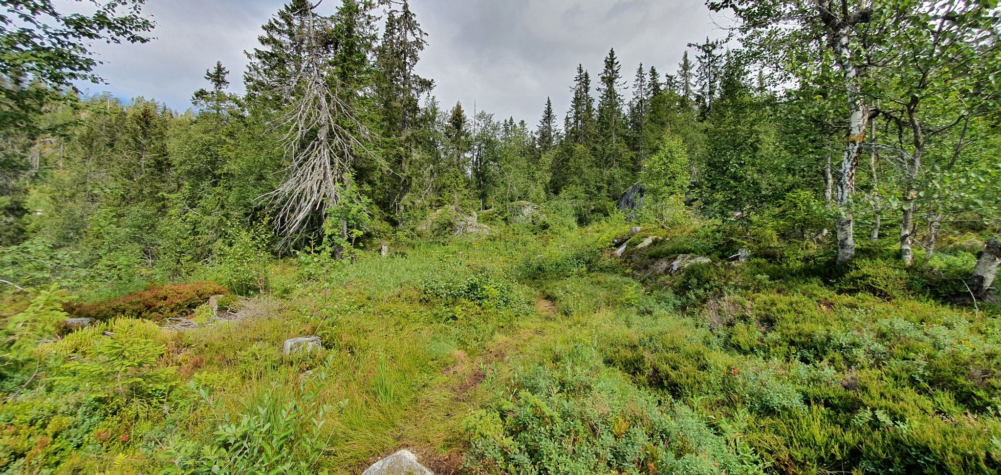Der Weg zum Gipfel hoch
