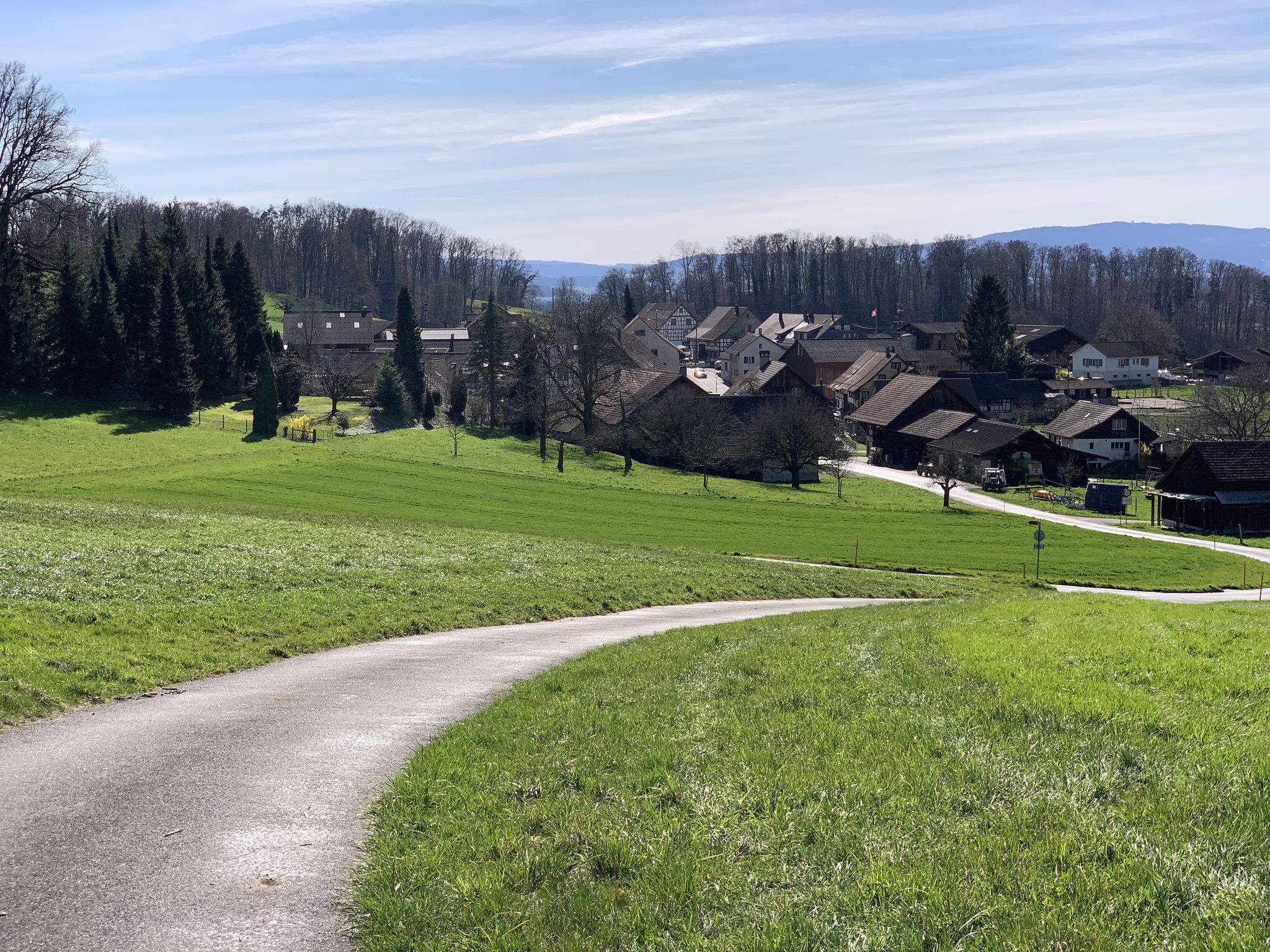 Blick auf Nussbaumen