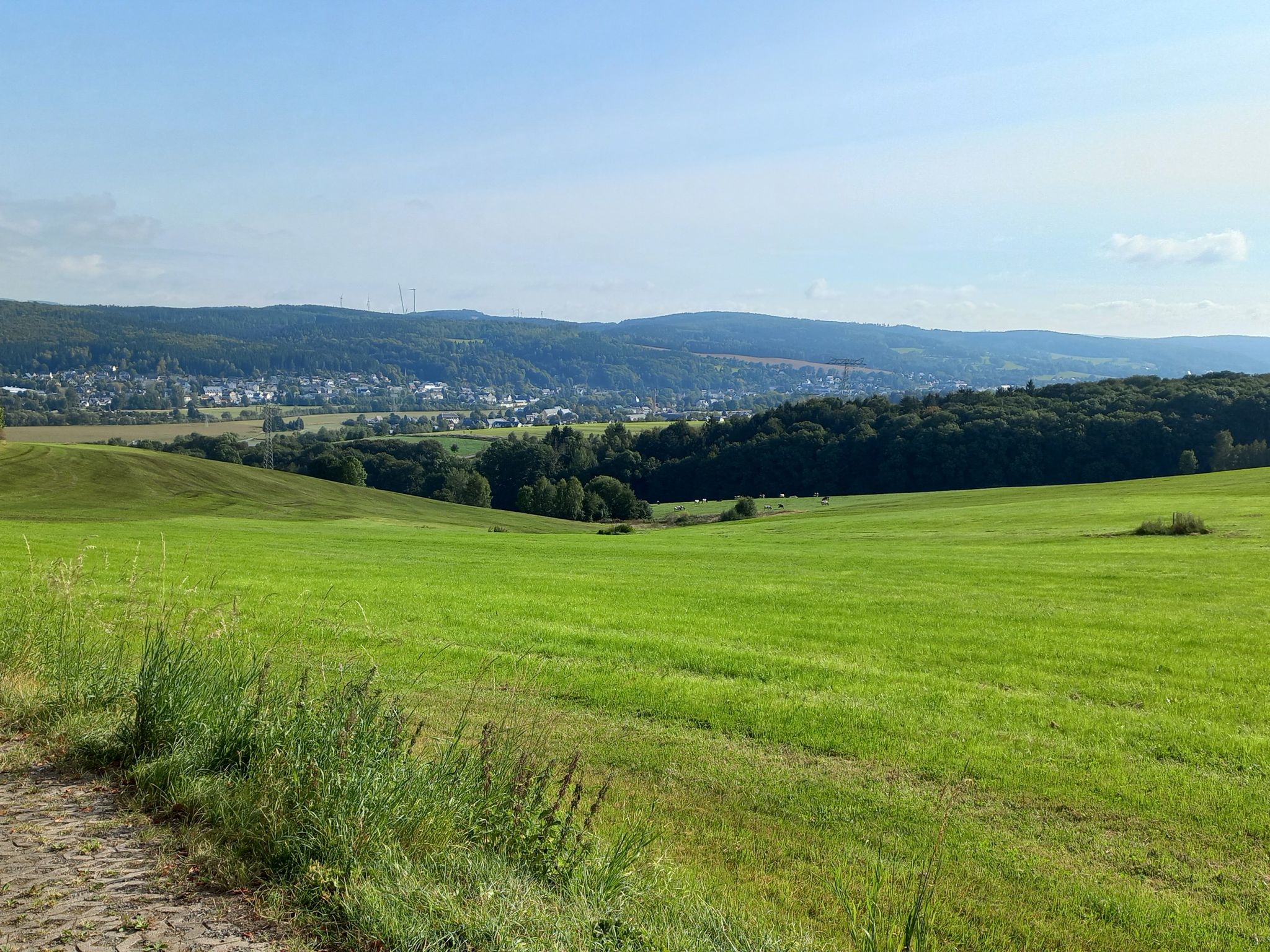 Olbernhau